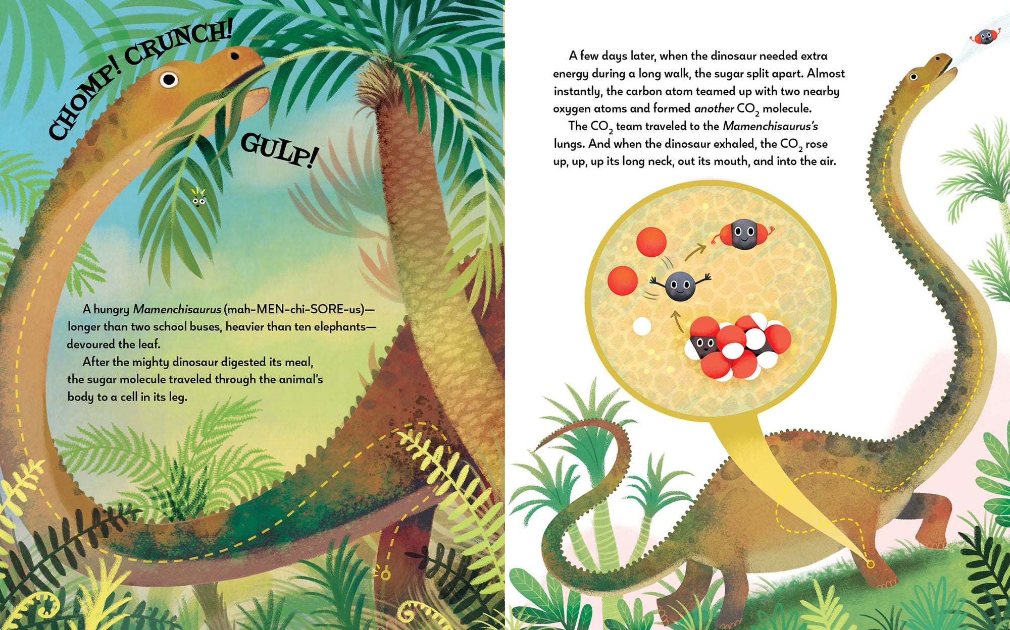 From BAM! to BURP!: A Carbon Atom's Never-Ending Journey Through Space and Time and YOU