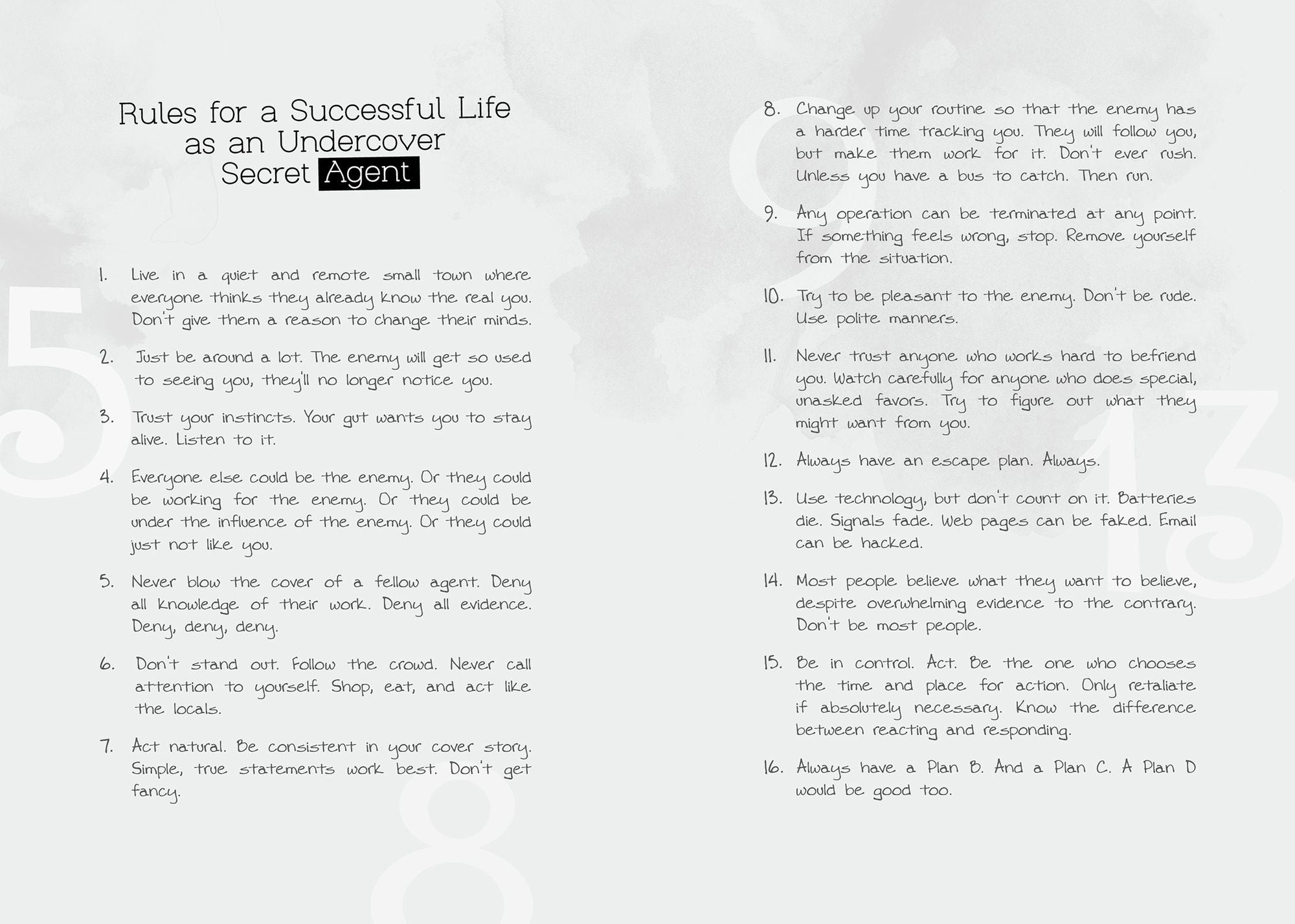 Mabel Opal Pear and the Rules for Spying