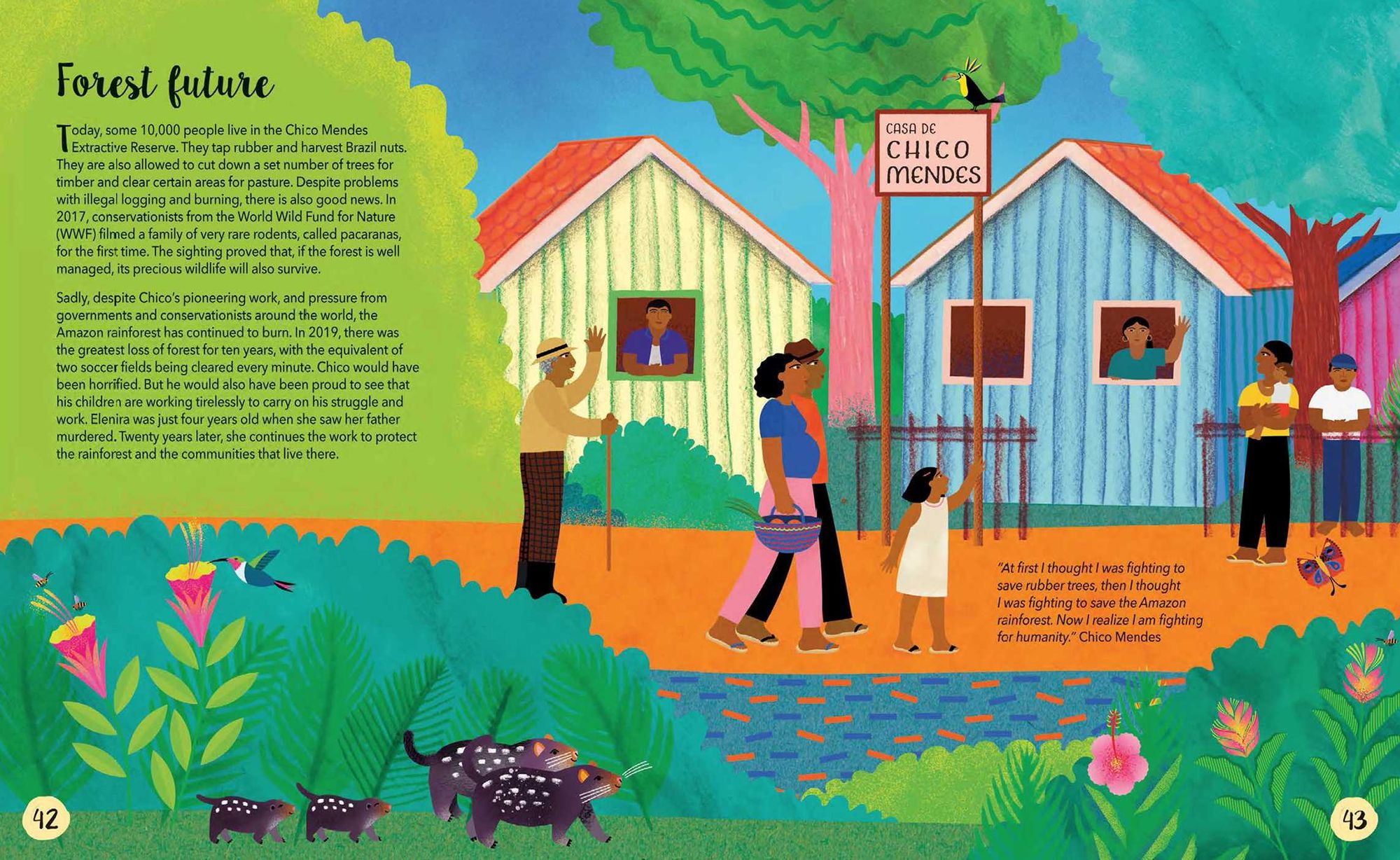 Forest Fighter: The Story of Chico Mendes