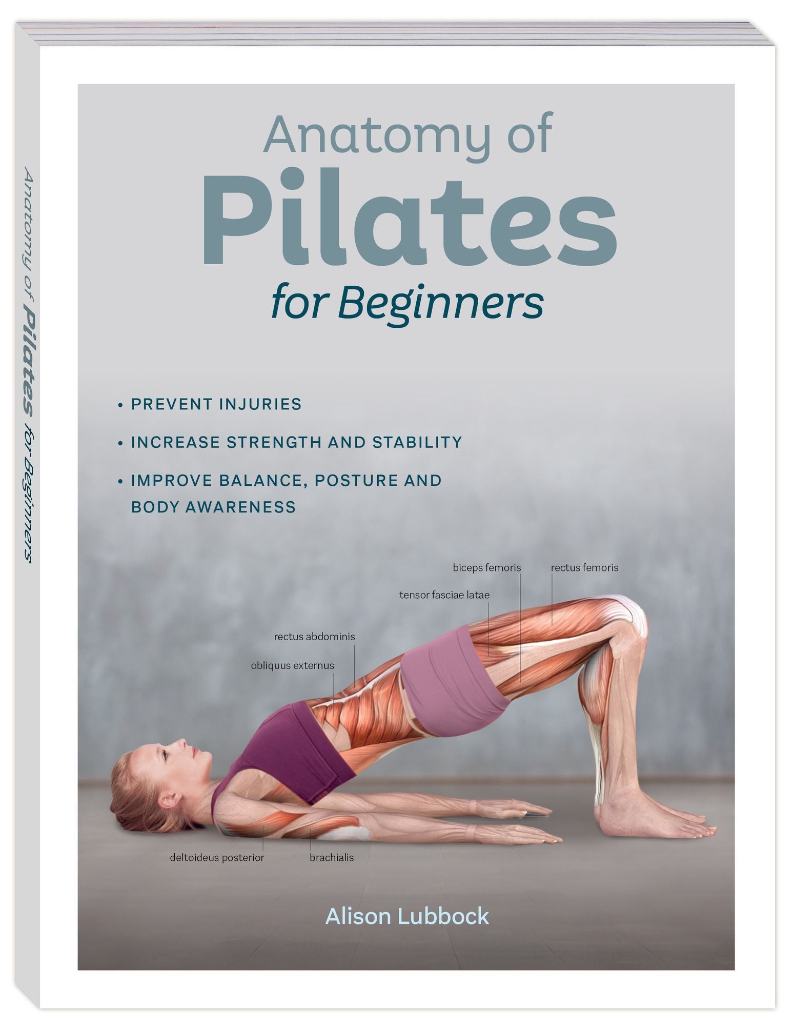 Anatomy of Pilates for beginners