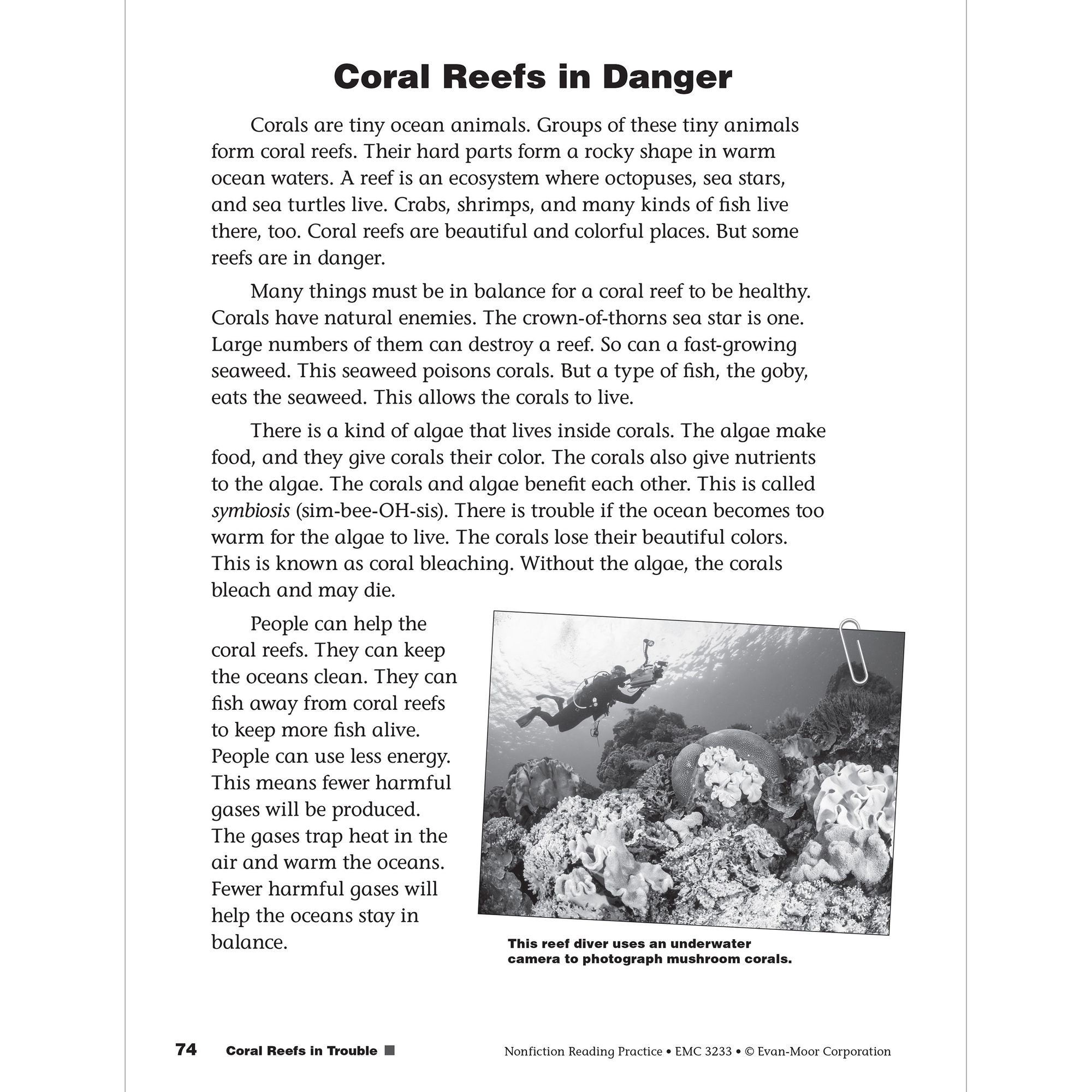 Nonfiction Reading Practice, Grade 3