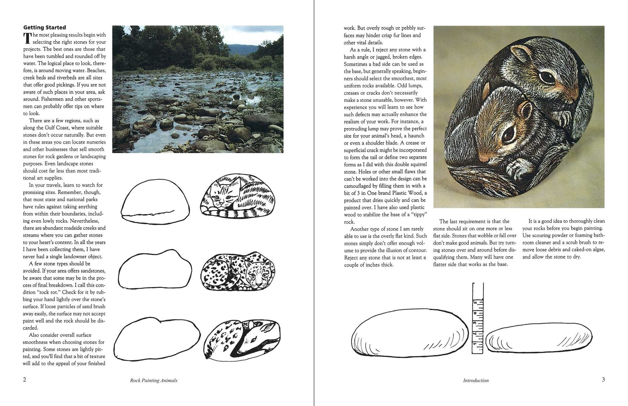 Rock Painting Animals: Step-by-Step Instructions, Techniques, and Ideas-20 Projects for Everyone!