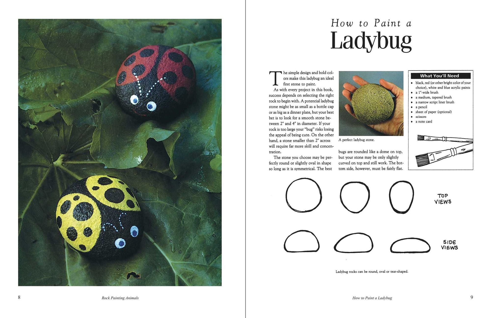 Rock Painting Animals: Step-by-Step Instructions, Techniques, and Ideas-20 Projects for Everyone!