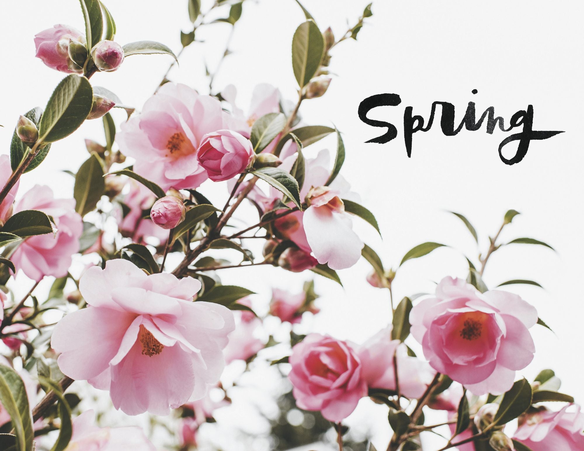 52 Lists Project: A Year of Weekly Journaling Inspiration