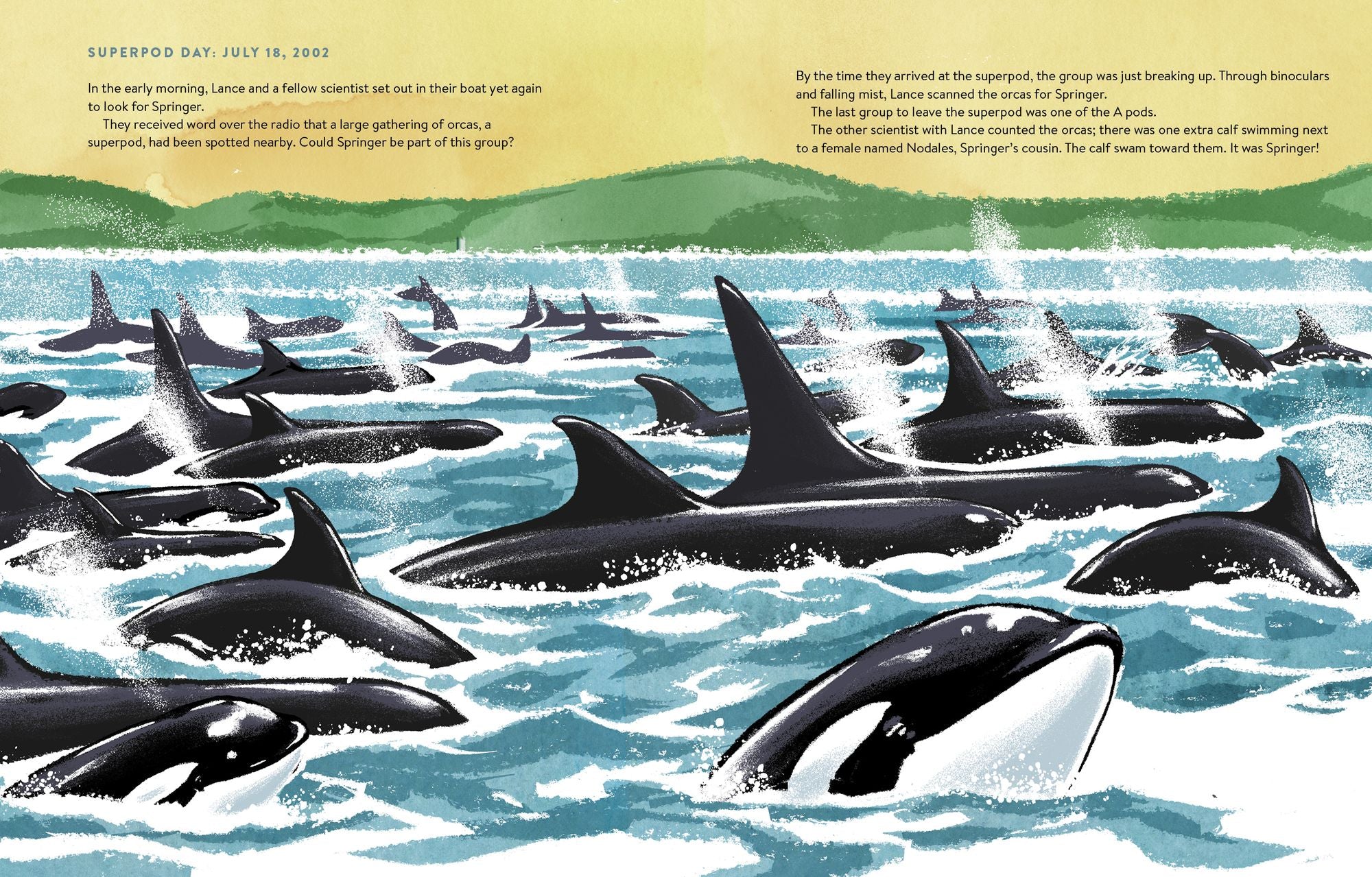 The Spirit of Springer: The Real-Life Rescue of an Orphaned Orca (Whale Books for Kids)
