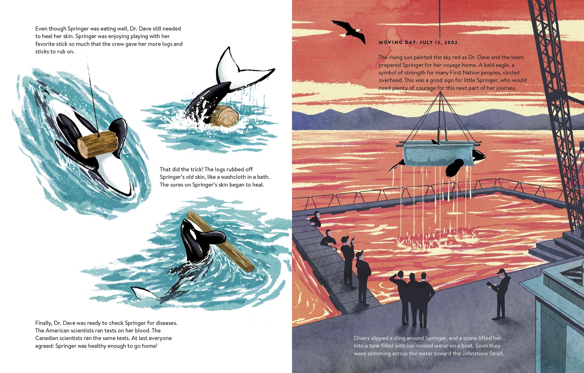 The Spirit of Springer: The Real-Life Rescue of an Orphaned Orca (Whale Books for Kids)