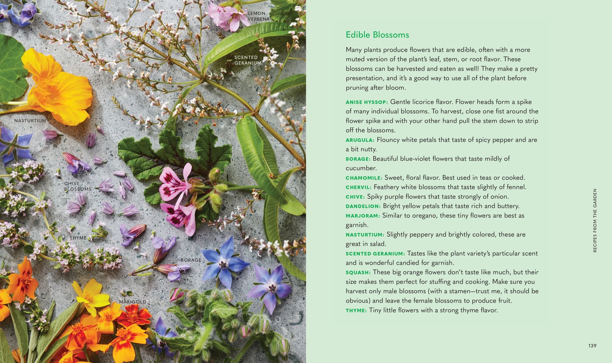 Tiny Space Gardening: Growing Vegetables, Fruits, and Herbs in Small Outdoor Spaces (with Recipes)