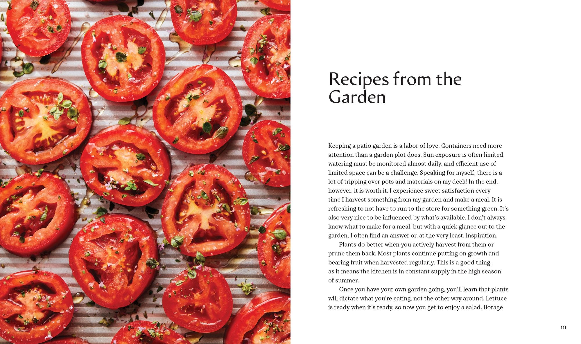 Tiny Space Gardening: Growing Vegetables, Fruits, and Herbs in Small Outdoor Spaces (with Recipes)