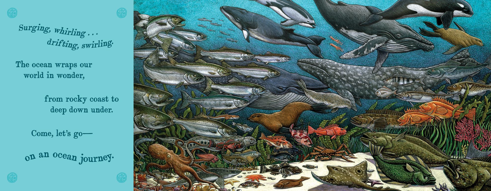 On An Ocean Journey: Animals in Motion Through the Seas (Ocean Books for Kids)
