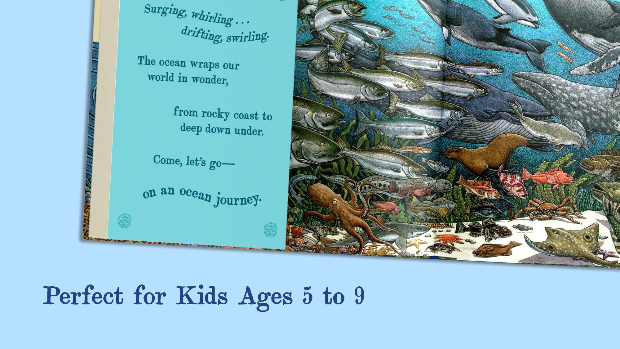 On An Ocean Journey: Animals in Motion Through the Seas (Ocean Books for Kids)