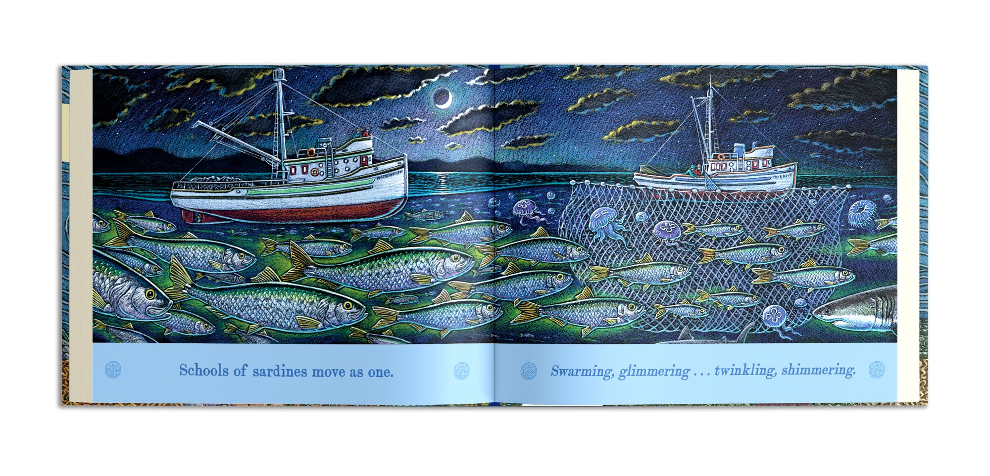 On An Ocean Journey: Animals in Motion Through the Seas (Ocean Books for Kids)