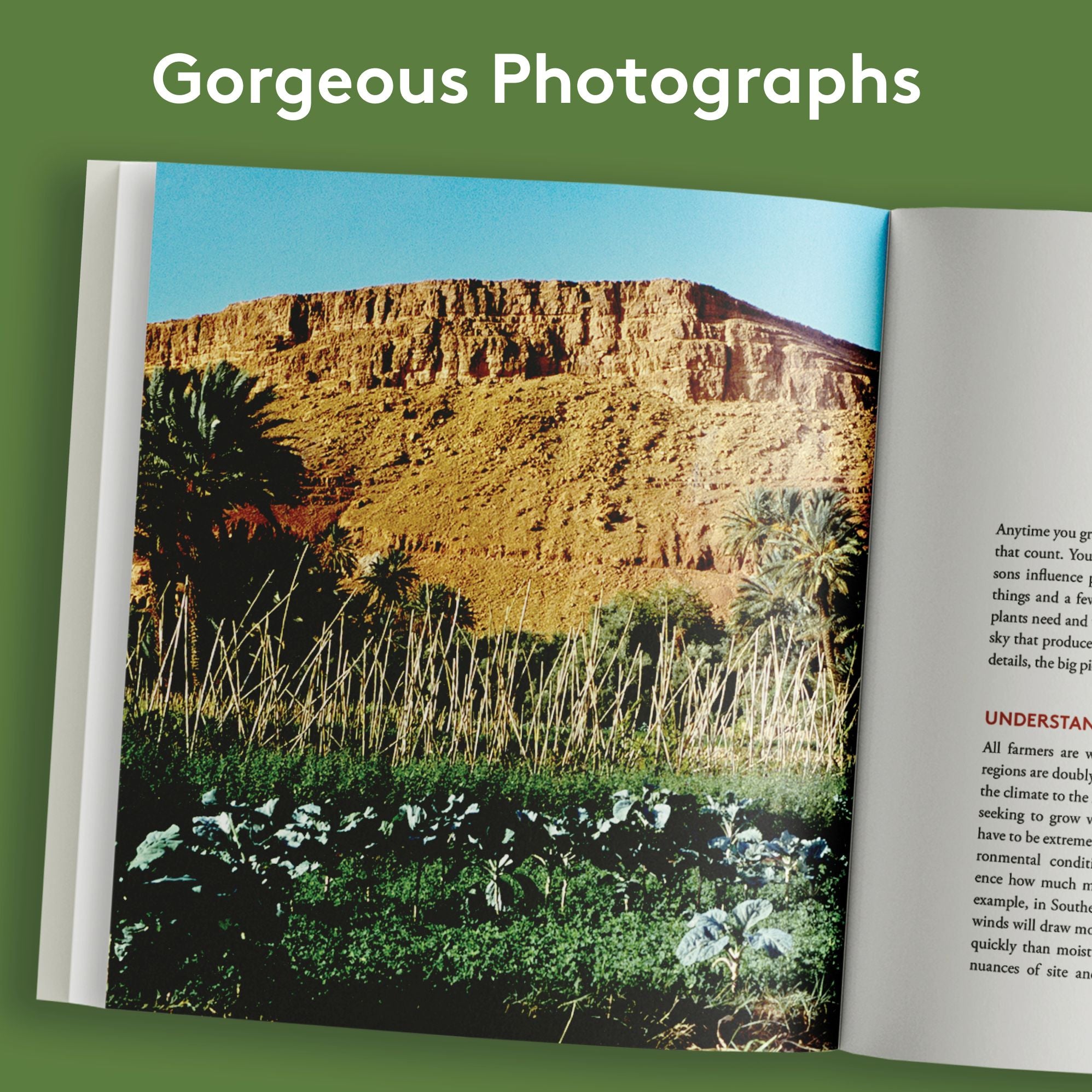 Growing Vegetables in Drought, Desert, and Dry Times, 10th Anniversary Edition: The Complete Guide to Sustainable Low-Water Organic Gardening in a Changing Climate