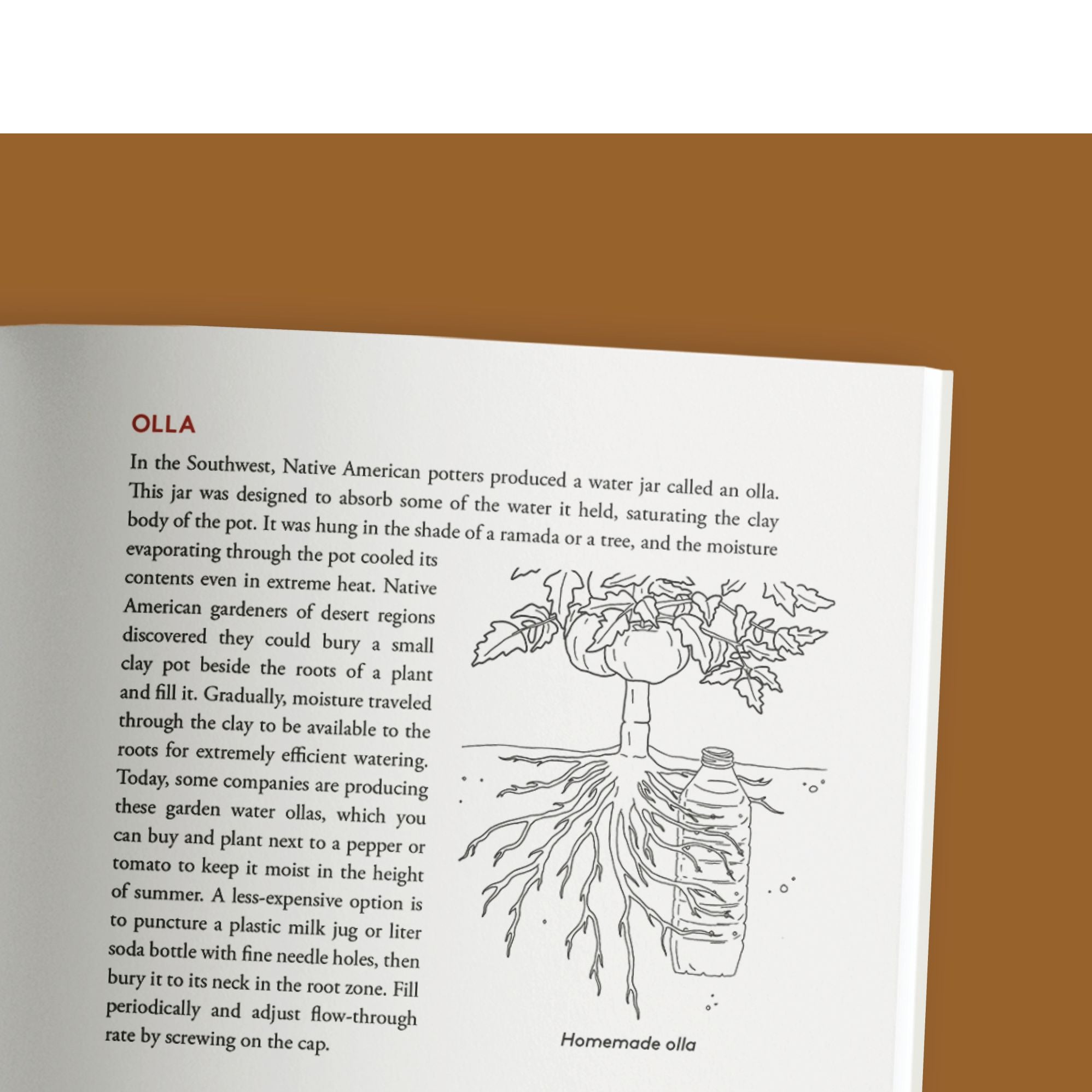 Growing Vegetables in Drought, Desert, and Dry Times, 10th Anniversary Edition: The Complete Guide to Sustainable Low-Water Organic Gardening in a Changing Climate