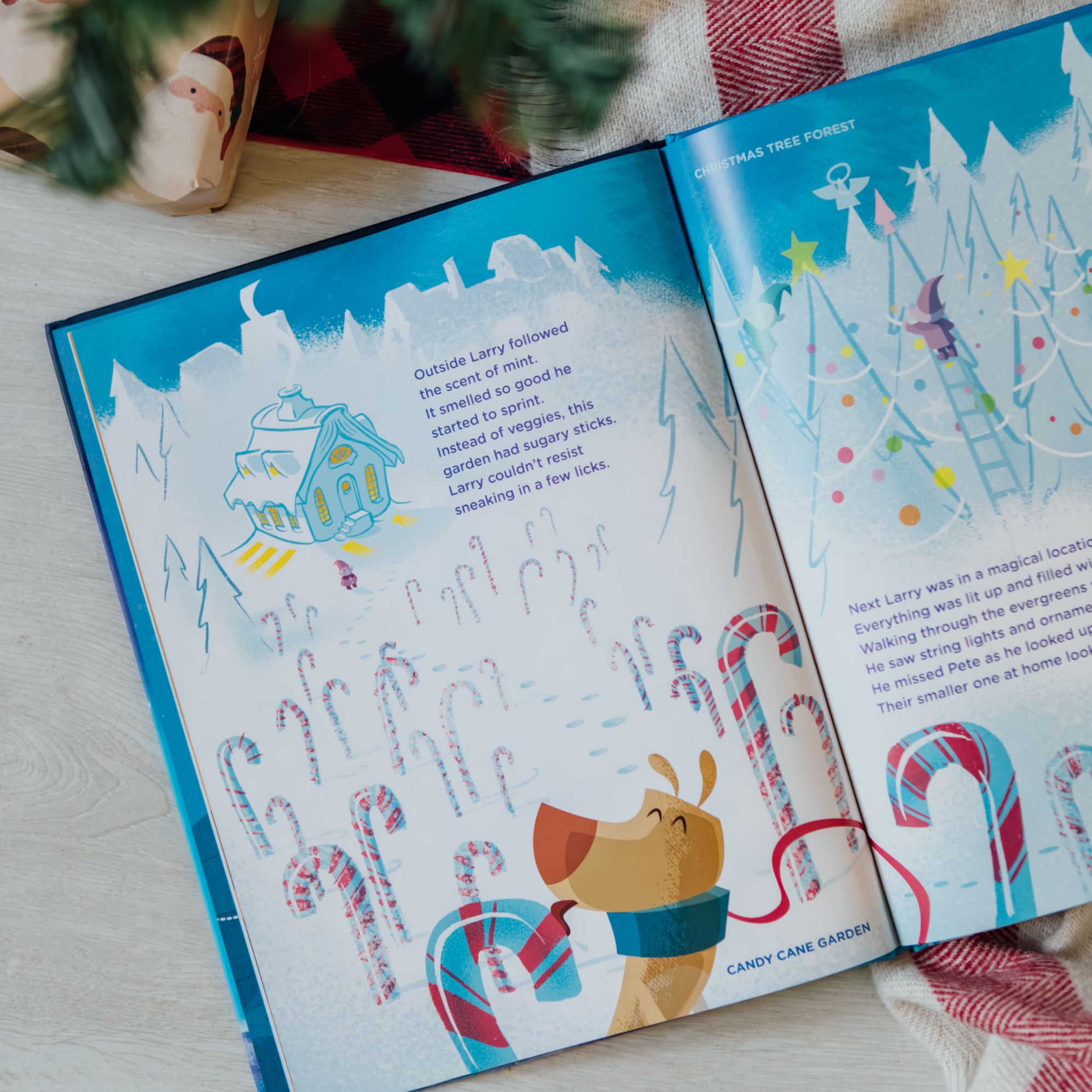 Larry Gets Lost at the North Pole: A Magical Christmas Adventure