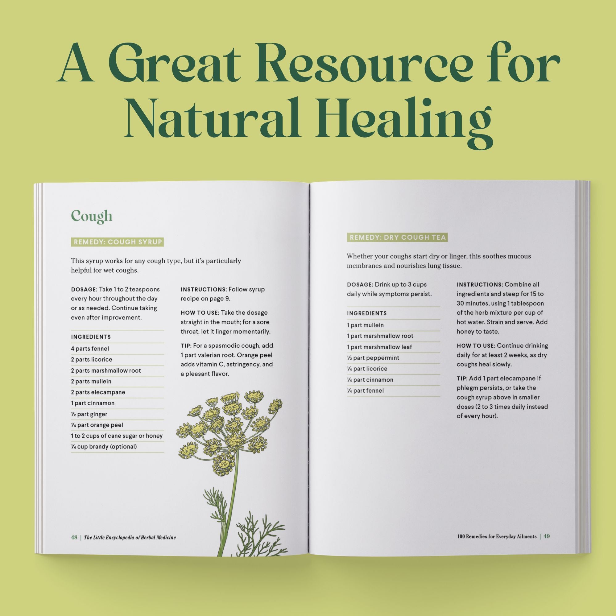 The Little Encyclopedia of Herbal Medicine: 100 Everyday Remedies from a Registered Herbalist and East Asian Medical Practitioner