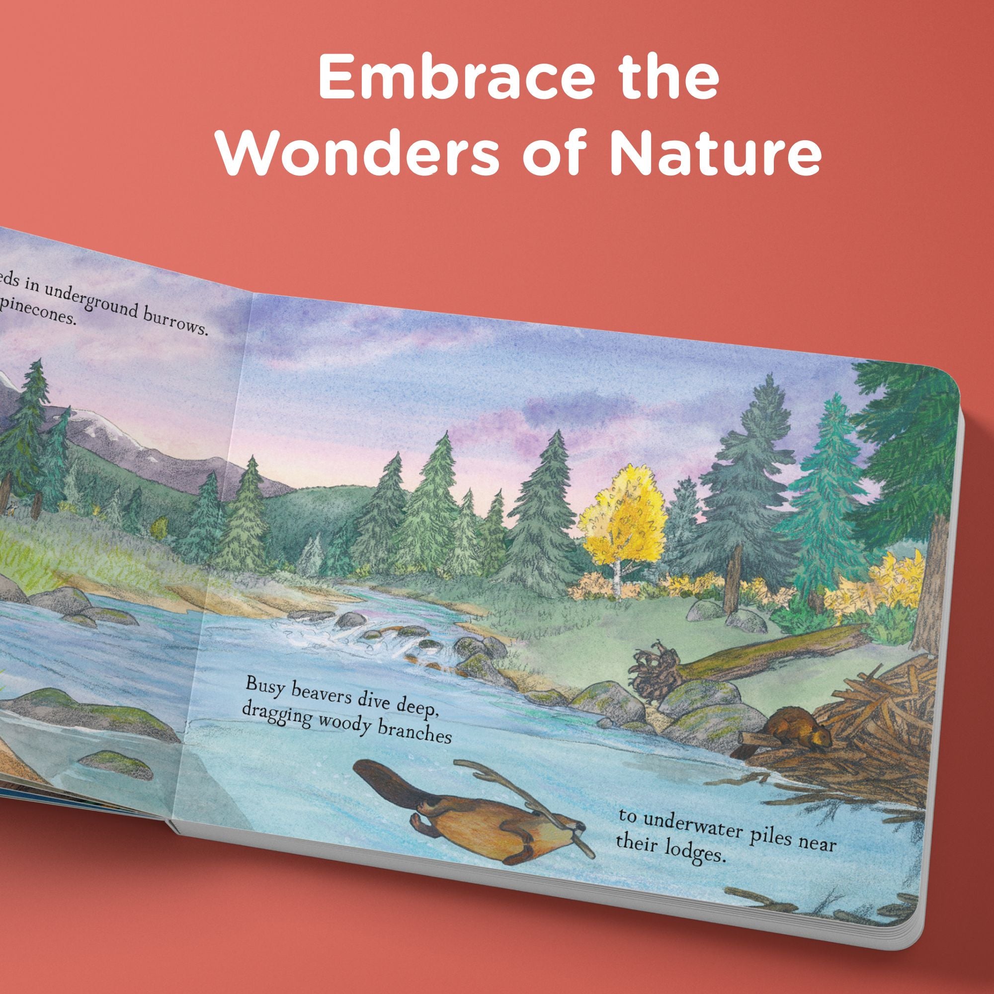 When Fall Comes: Connecting with Nature as the Days Grow Shorter