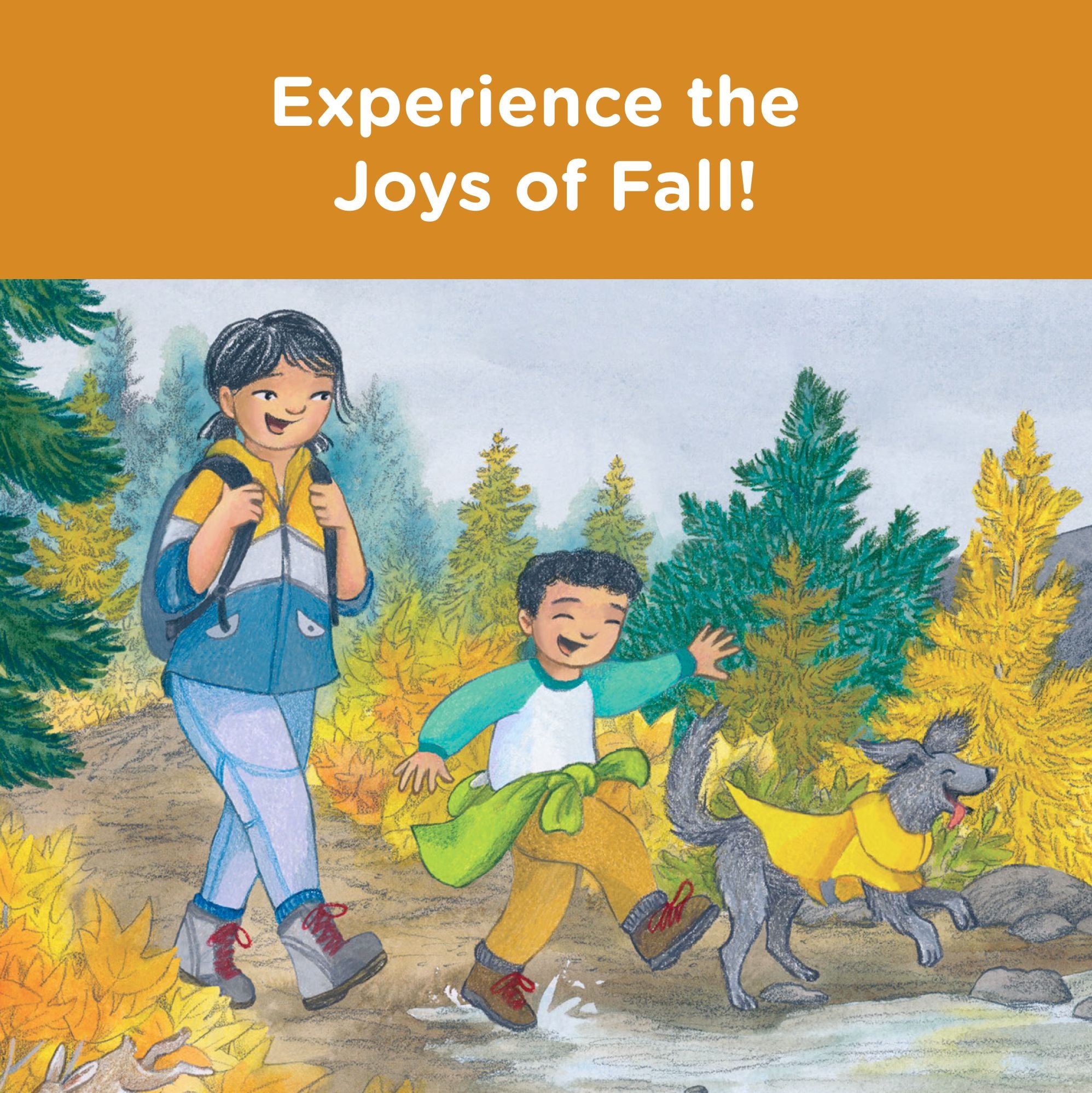 When Fall Comes: Connecting with Nature as the Days Grow Shorter