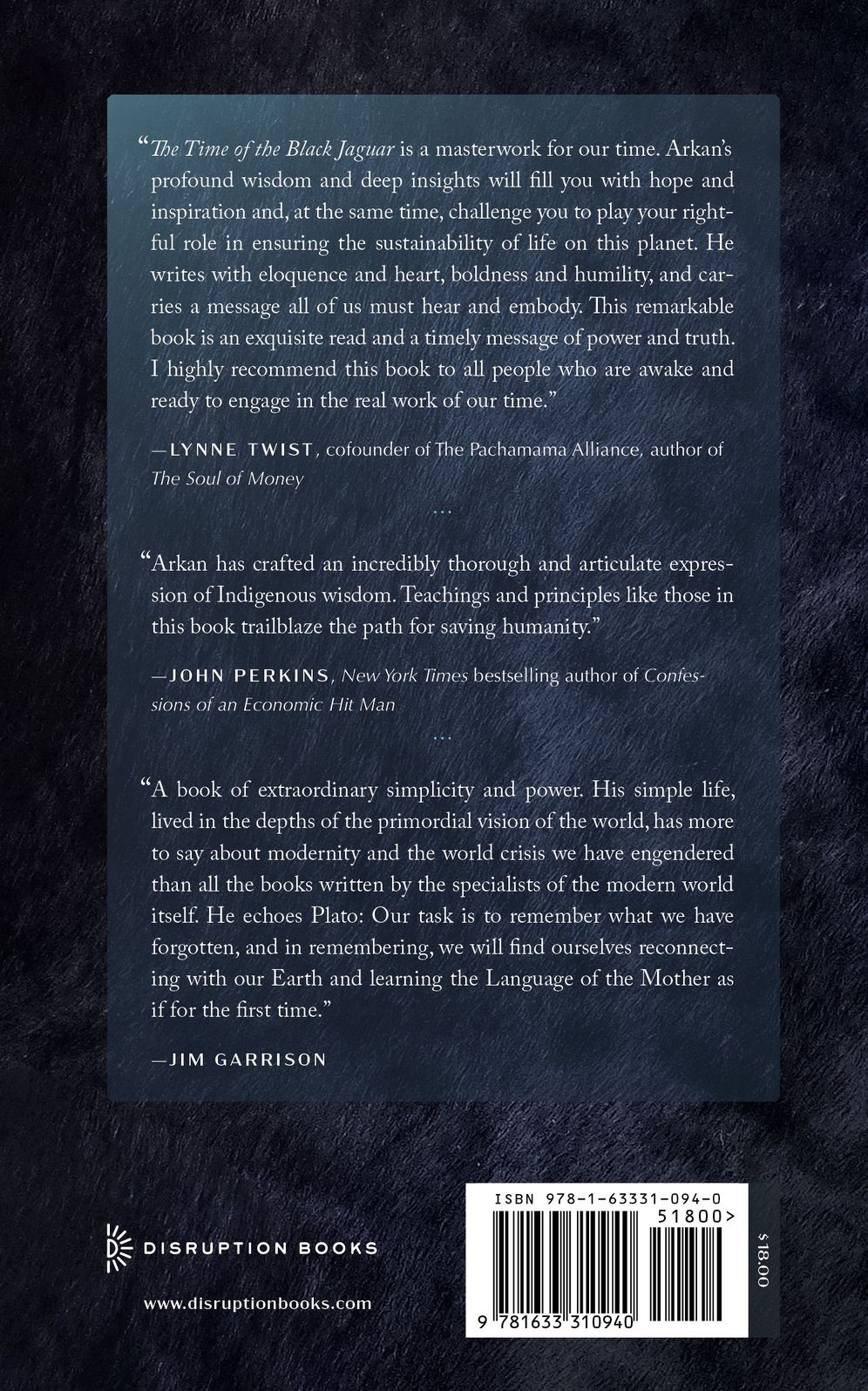 The Time of the Black Jaguar: An Offering of Indigenous Wisdom for the Continuity of Life on Earth