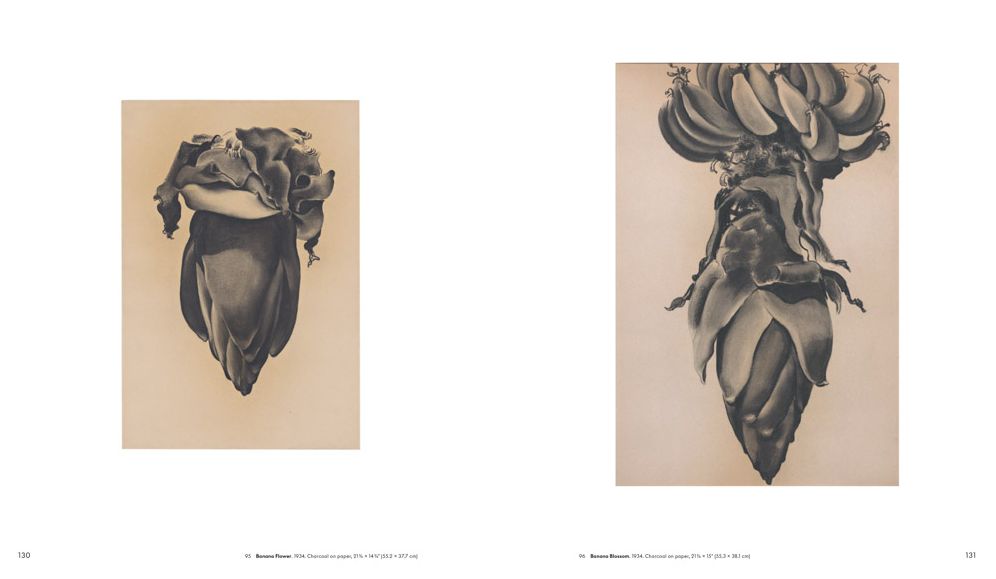 Georgia O'Keeffe: To See Takes Time