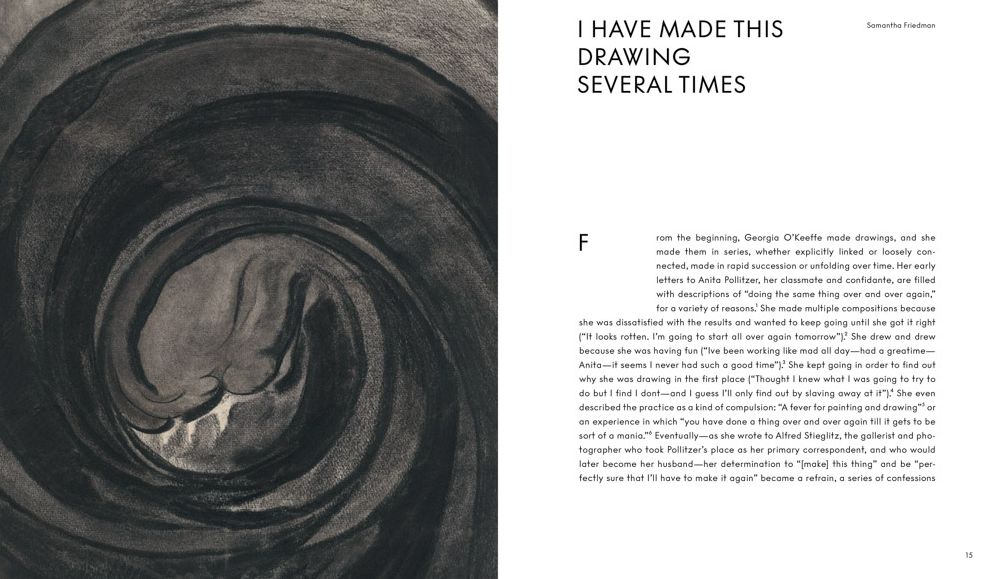 Georgia O'Keeffe: To See Takes Time