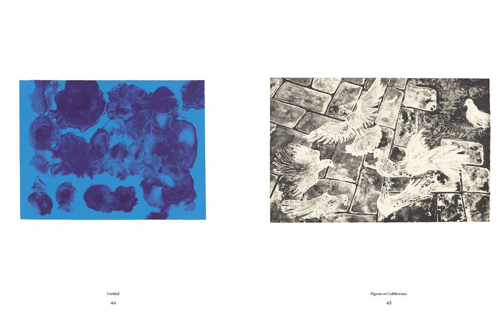 Ruth Asawa: The Tamarind Prints