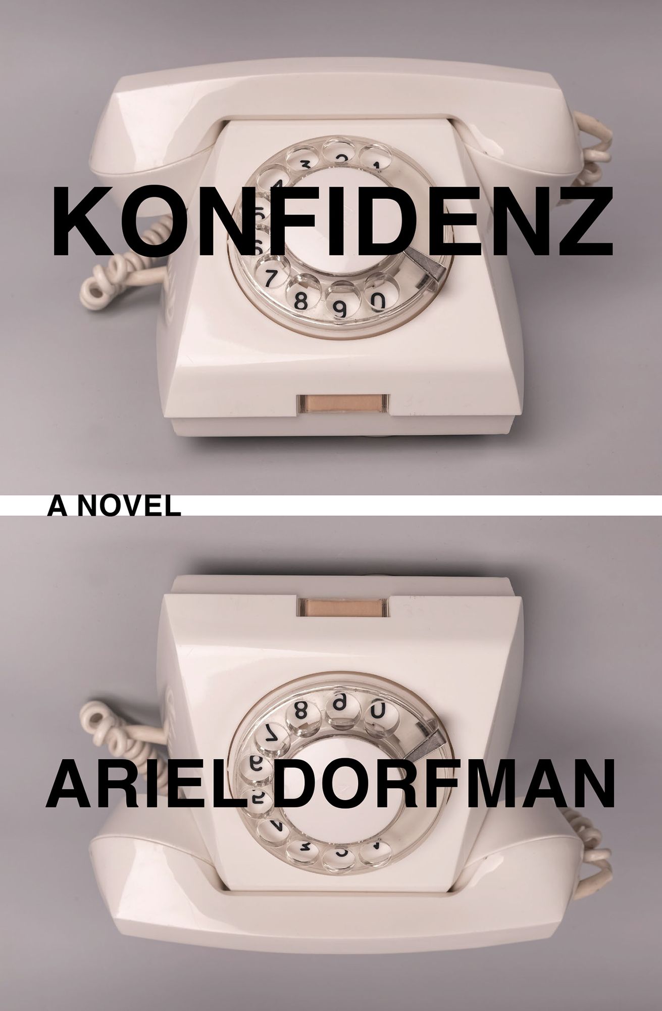 Konfidenz: A Novel