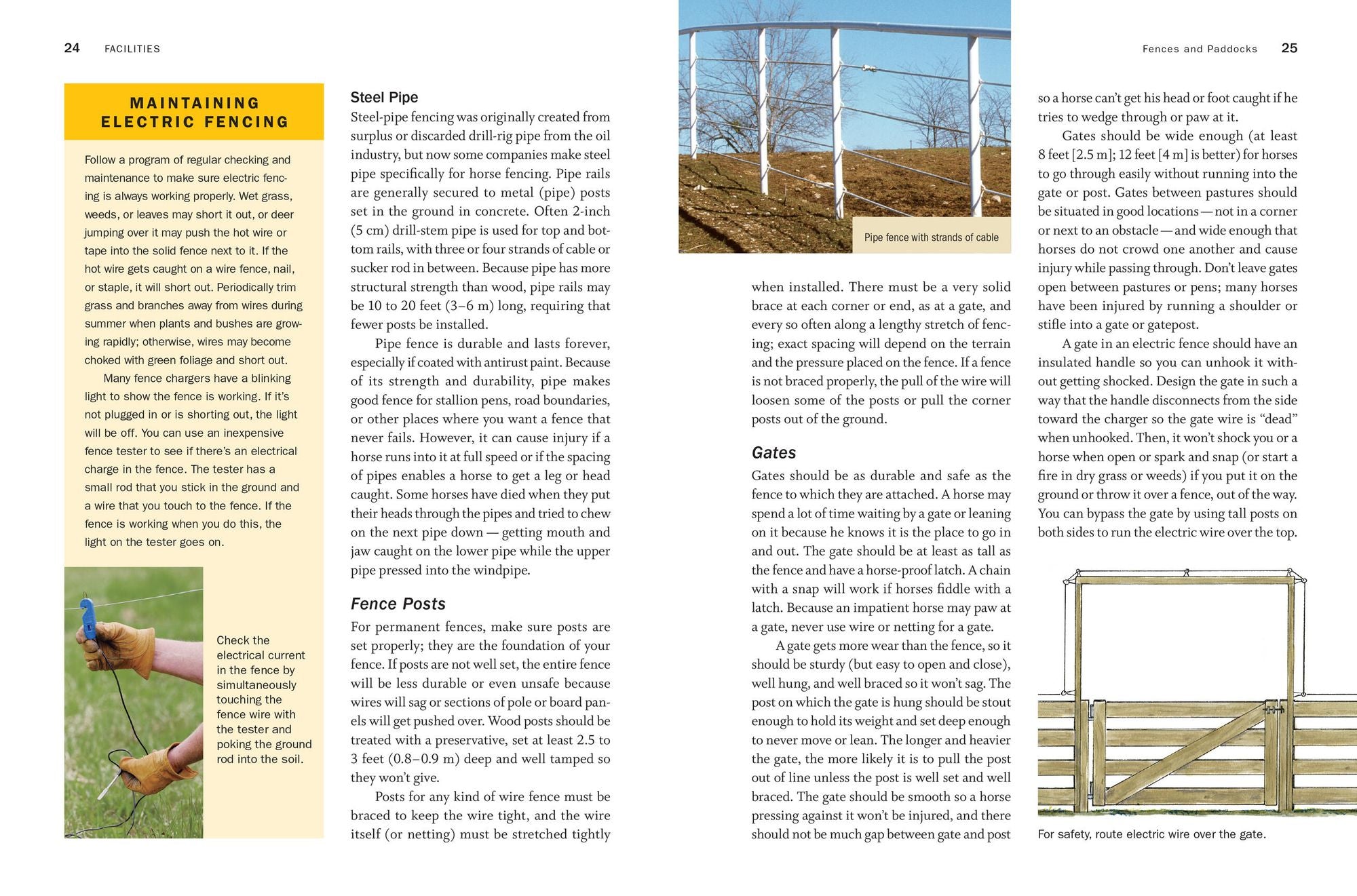 Storey's Guide to Raising Horses, 3rd Edition: Breeding, Care, Facilities