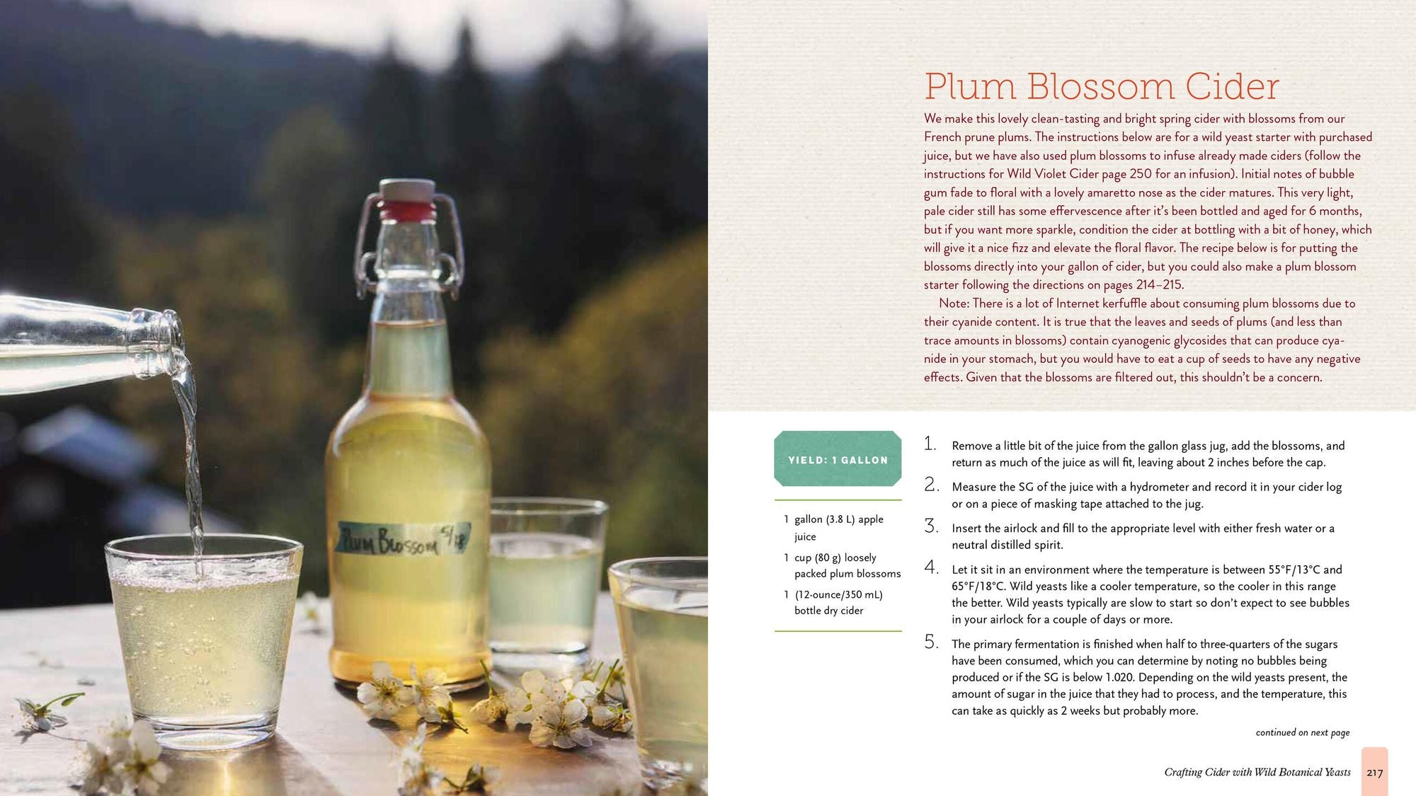 The Big Book of Cidermaking: Expert Techniques for Fermenting and Flavoring Your Favorite Hard Cider