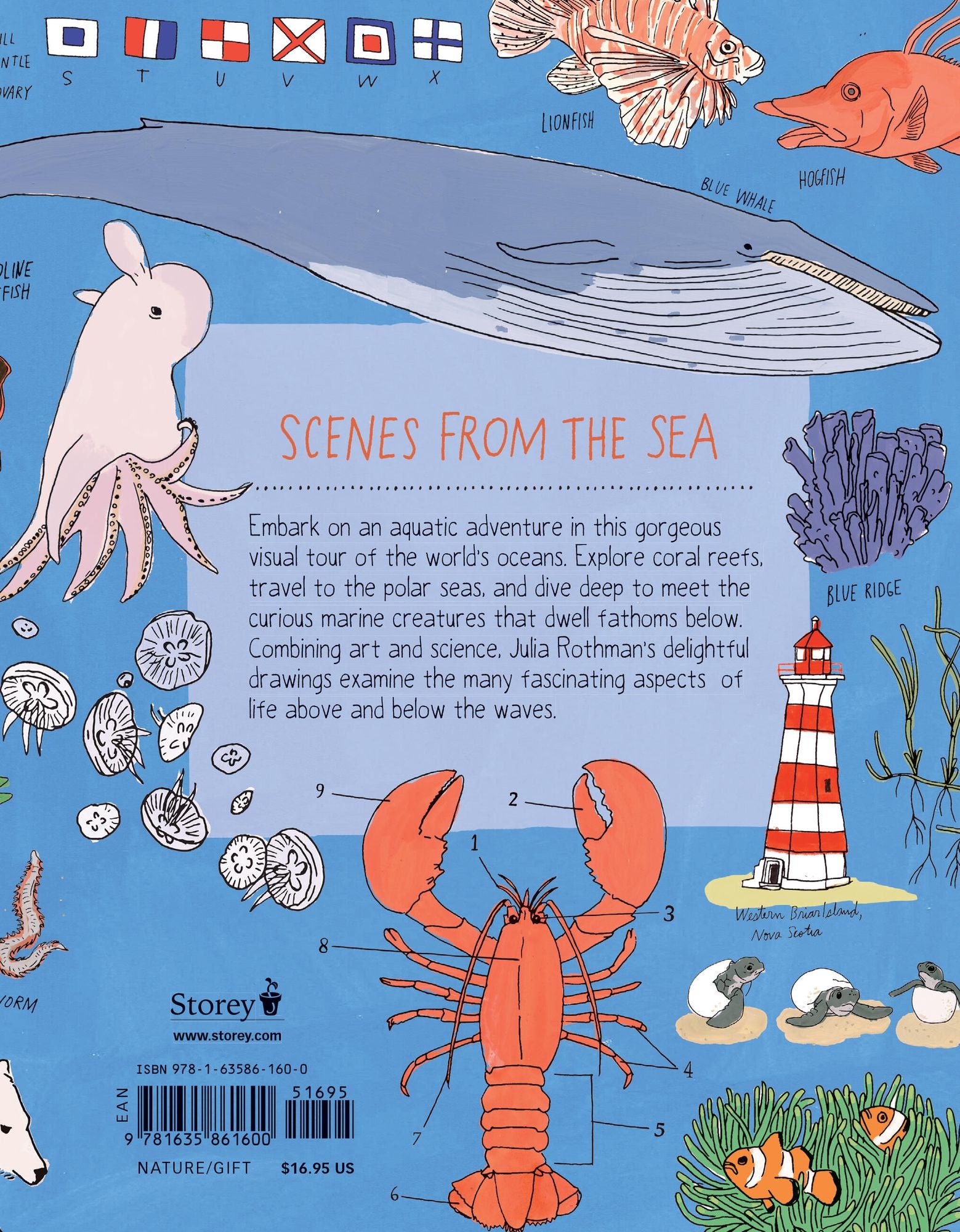 Ocean Anatomy: The Curious Parts & Pieces of the World under the Sea