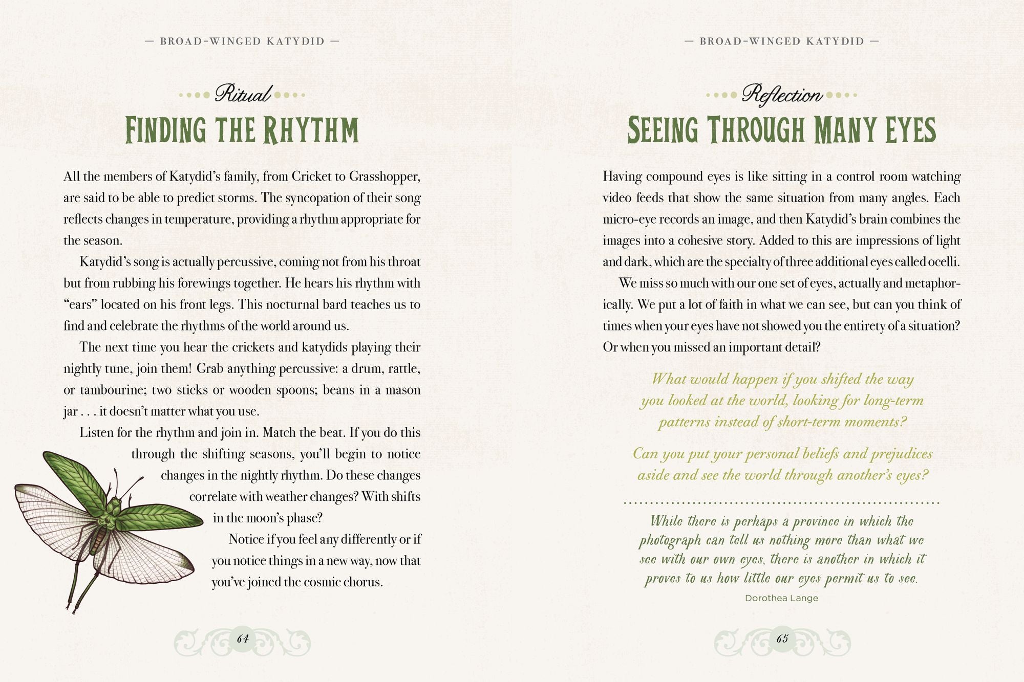 The Illustrated Bestiary: Guidance and Rituals from 36 Inspiring Animals