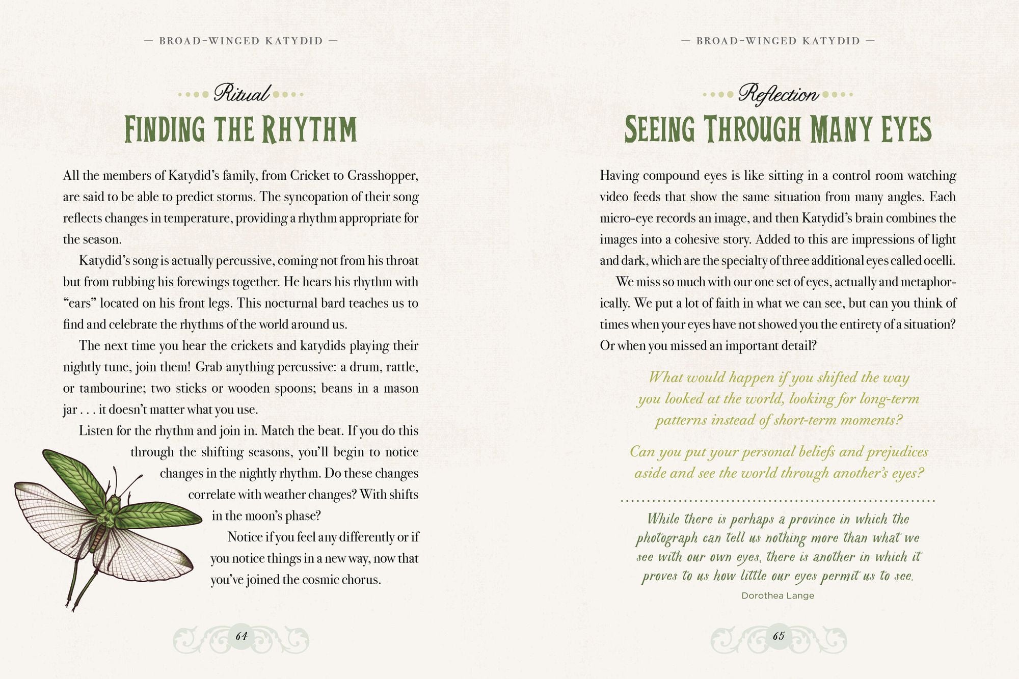 The Illustrated Bestiary: Guidance and Rituals from 36 Inspiring Animals