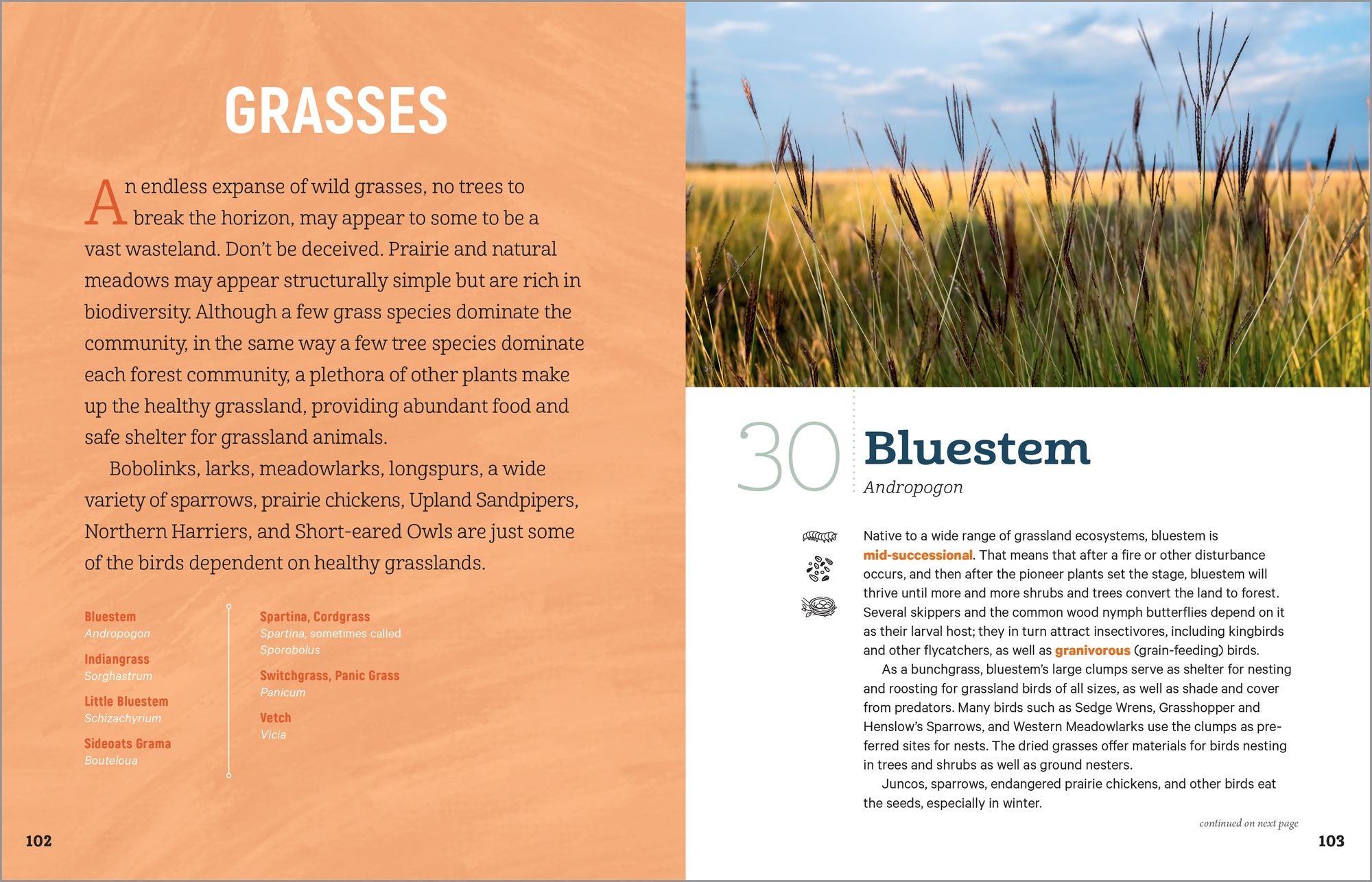 100 Plants to Feed the Birds: Turn Your Home Garden into a Healthy Bird Habitat