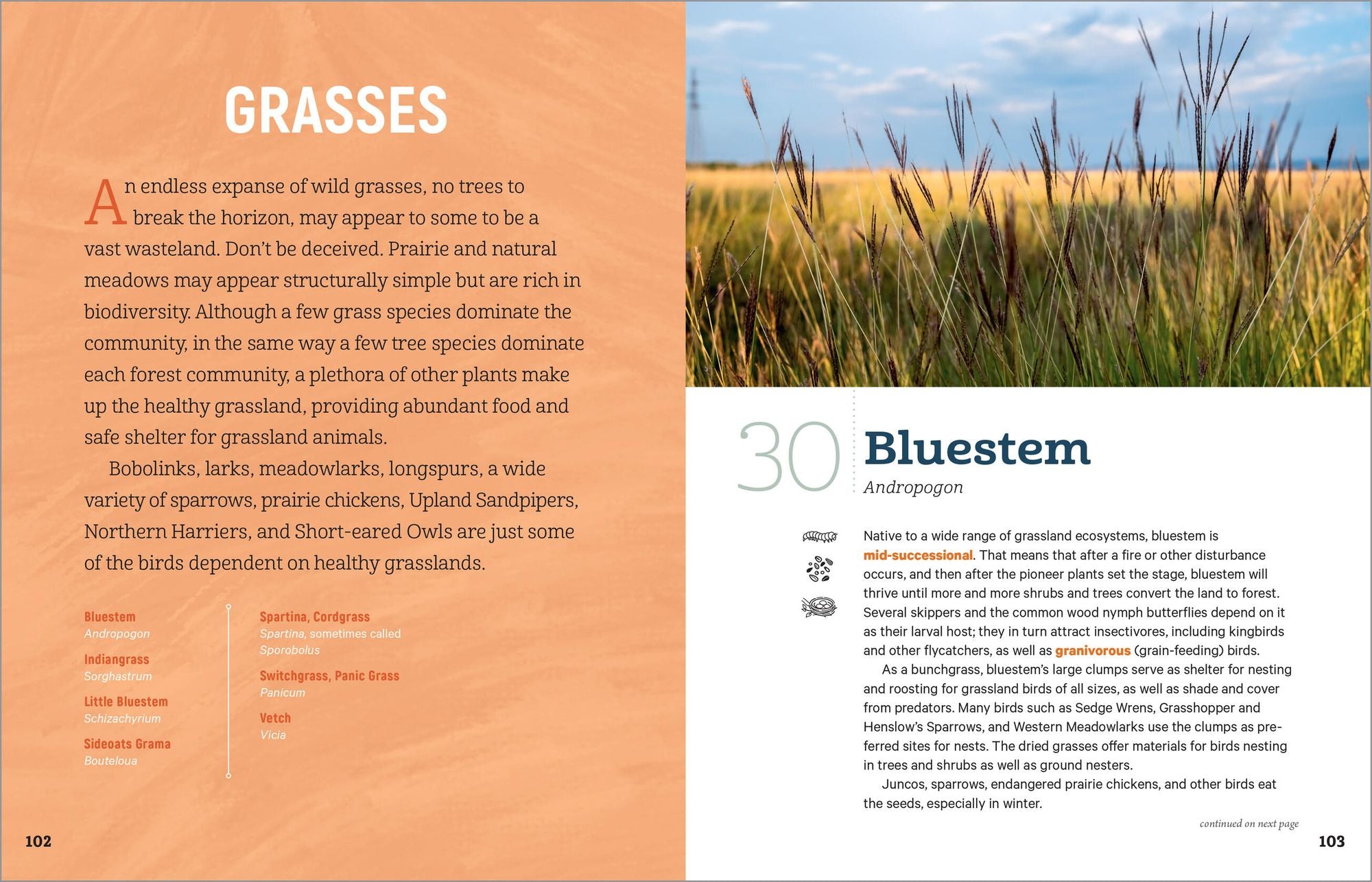 100 Plants to Feed the Birds: Turn Your Home Garden into a Healthy Bird Habitat