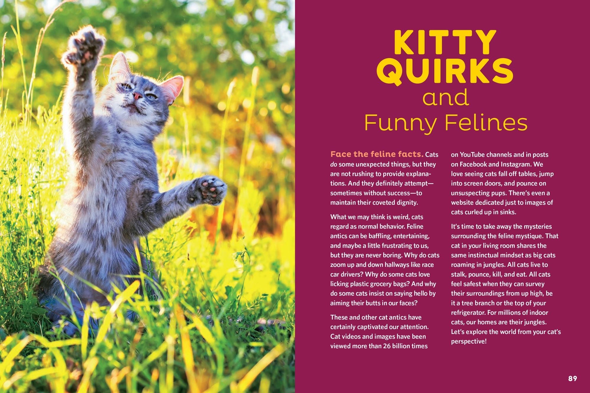 The Cat Behavior Answer Book, 2nd Edition: Understanding How Cats Think, Why They Do What They Do, and How to Strengthen Our Relationships with Them