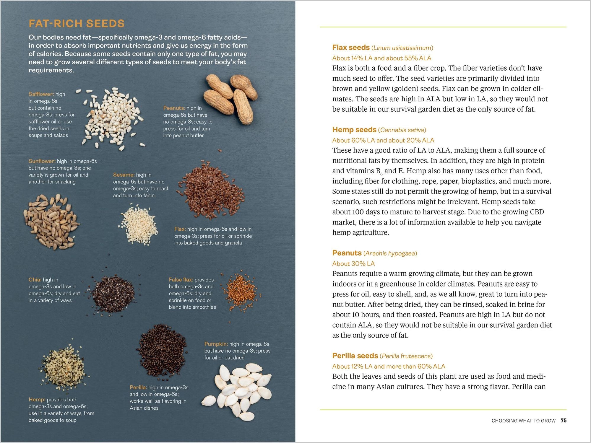 Survival Gardening: Grow Your Own Emergency Food Supply, from Seed to Root Cellar