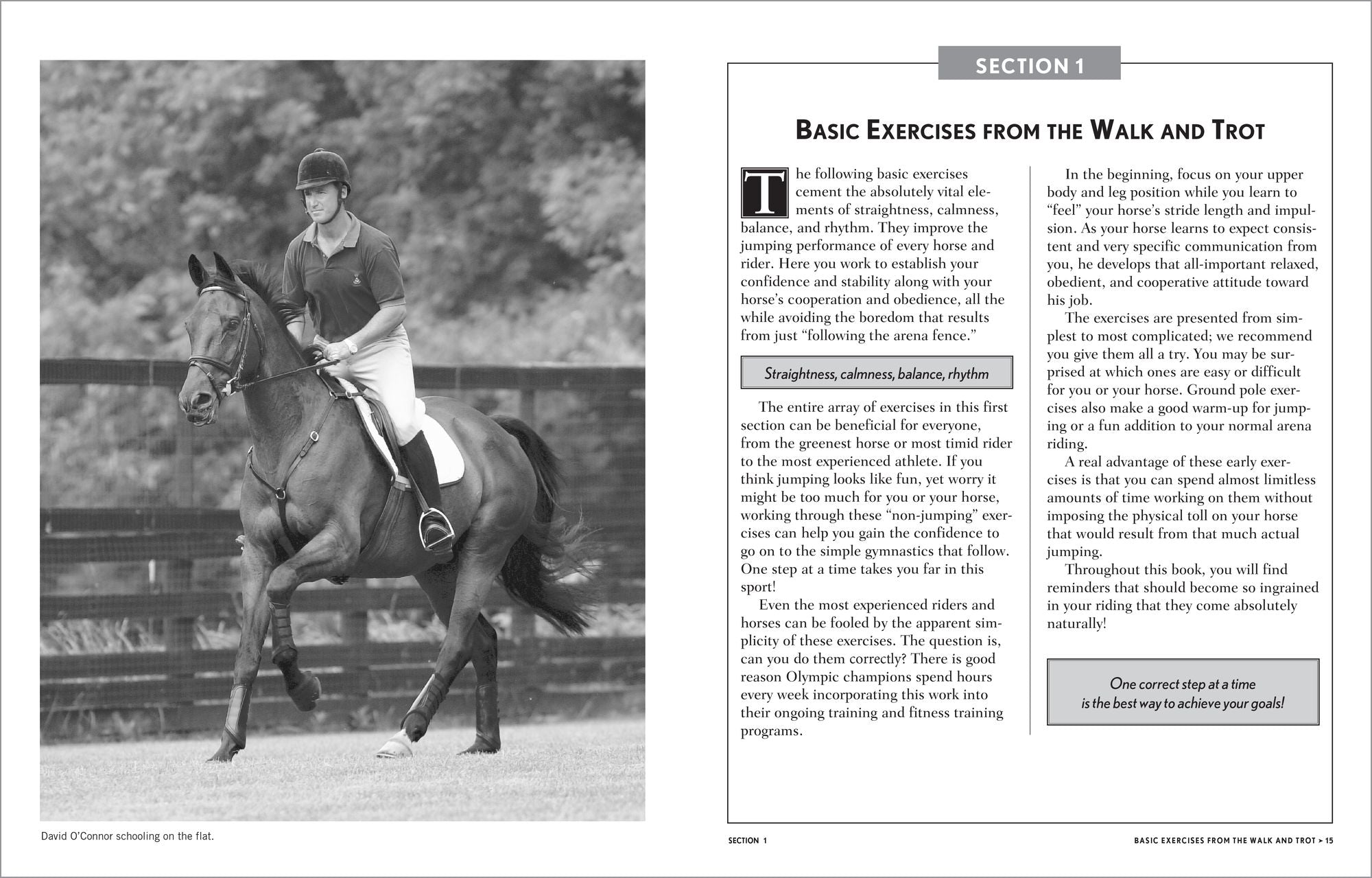 101 Jumping Exercises for Horse & Rider