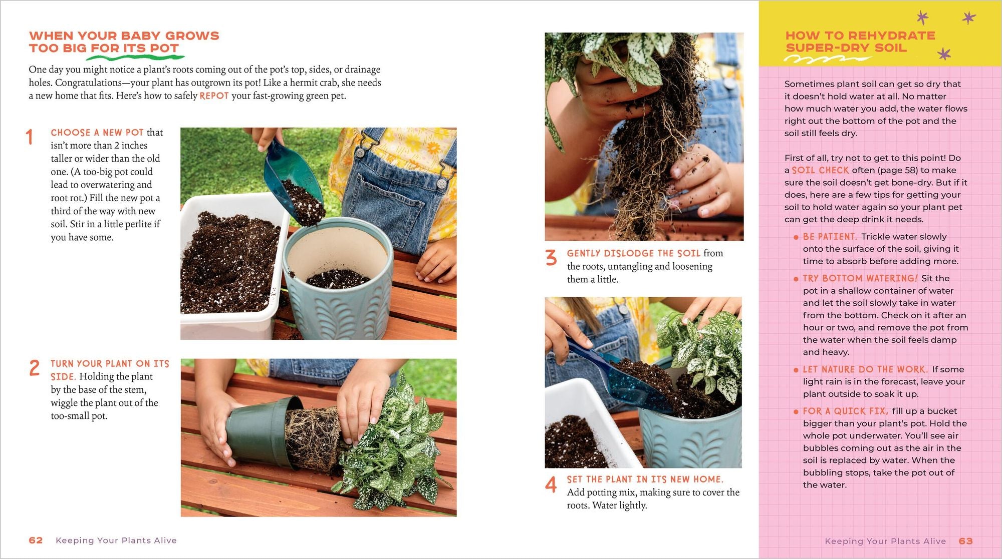 Plant Pets: 27 Cool Houseplants to Grow and Love