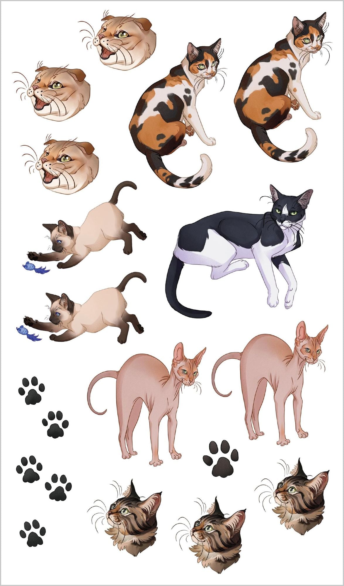 Cute, Cuddly Tattoo Cats & Kittens: 50 Temporary Tattoos That Teach