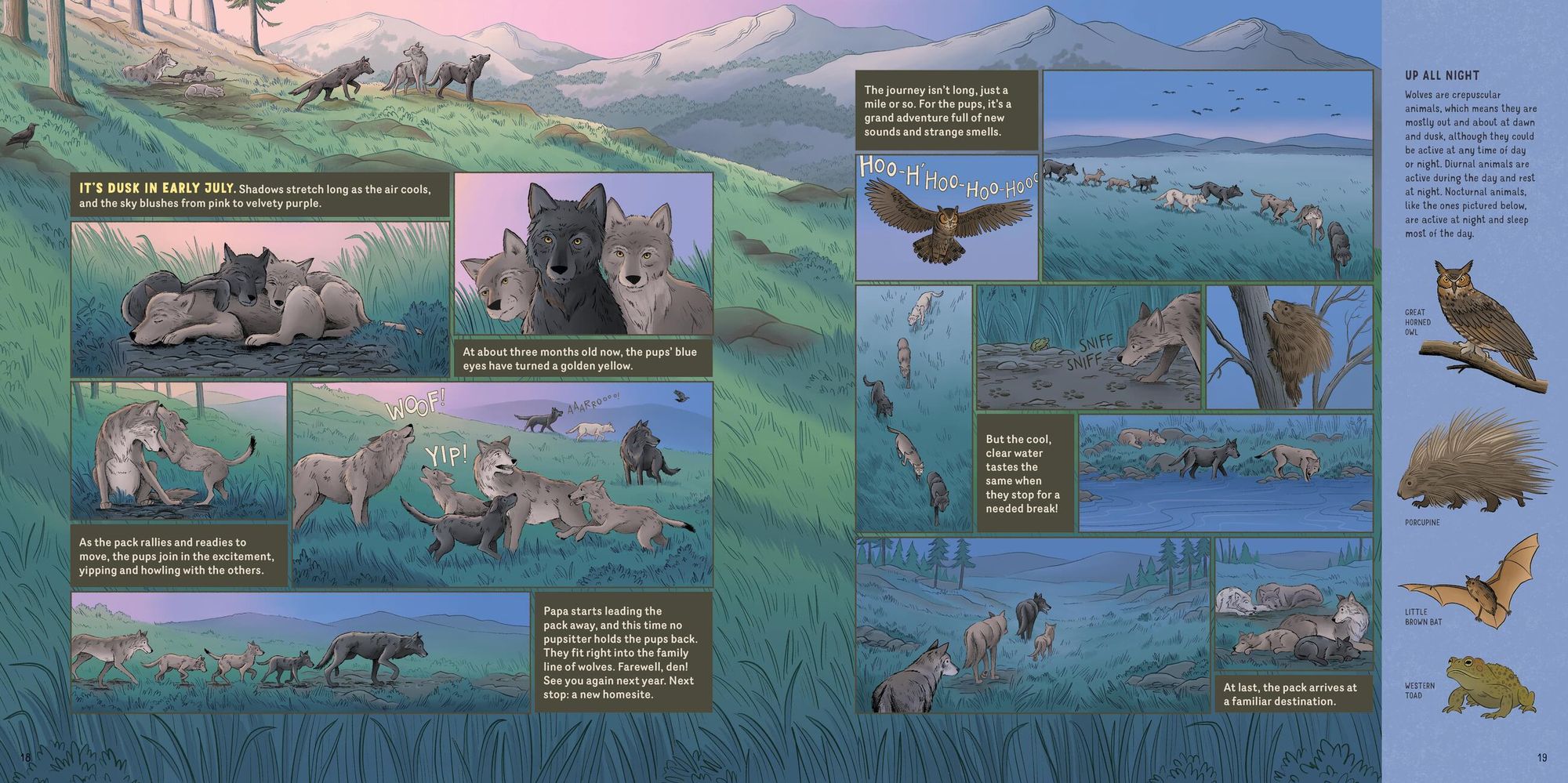 What Goes on inside a Wolf Pack: Follow the Adventures of a Wolf Family in Yellowstone National Park
