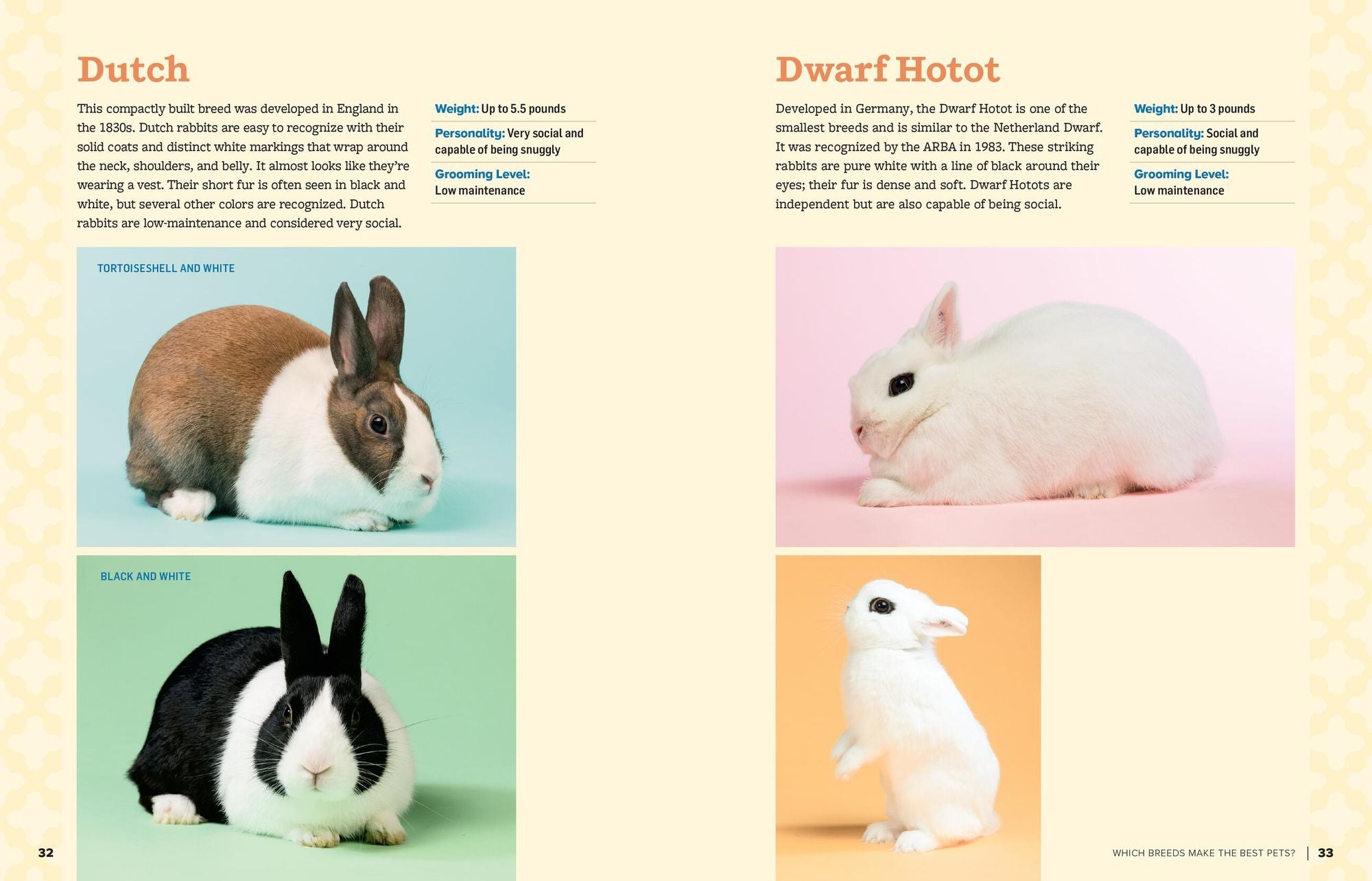 An Absolute Beginner's Guide to Keeping a Pet Rabbit: Handling, Feeding, Housing, and Grooming