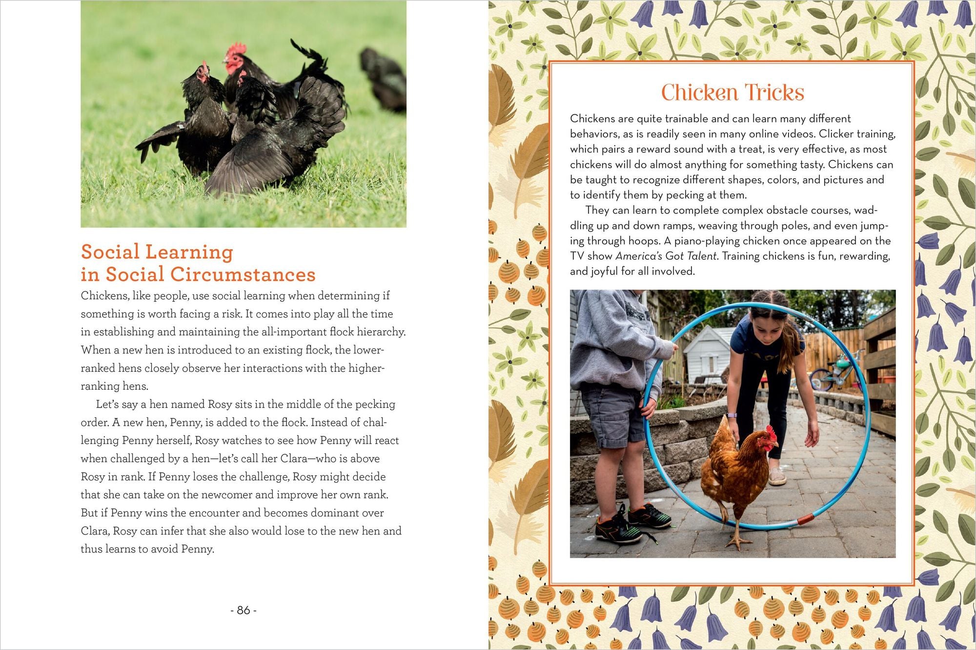 How to Read a Chicken's Mind: Understand How Chickens Learn, Perceive People, Express Emotions, and Pass Down Knowledge