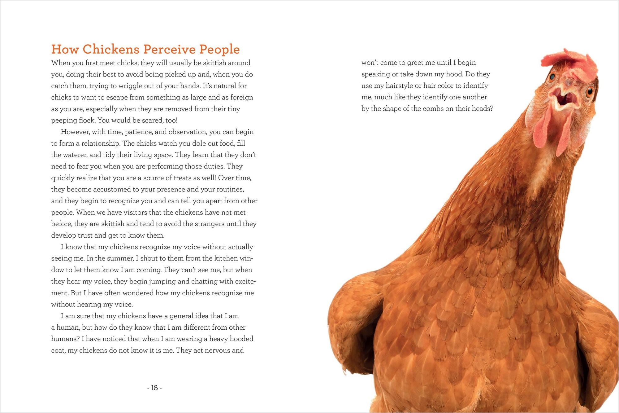 How to Read a Chicken's Mind: Understand How Chickens Learn, Perceive People, Express Emotions, and Pass Down Knowledge