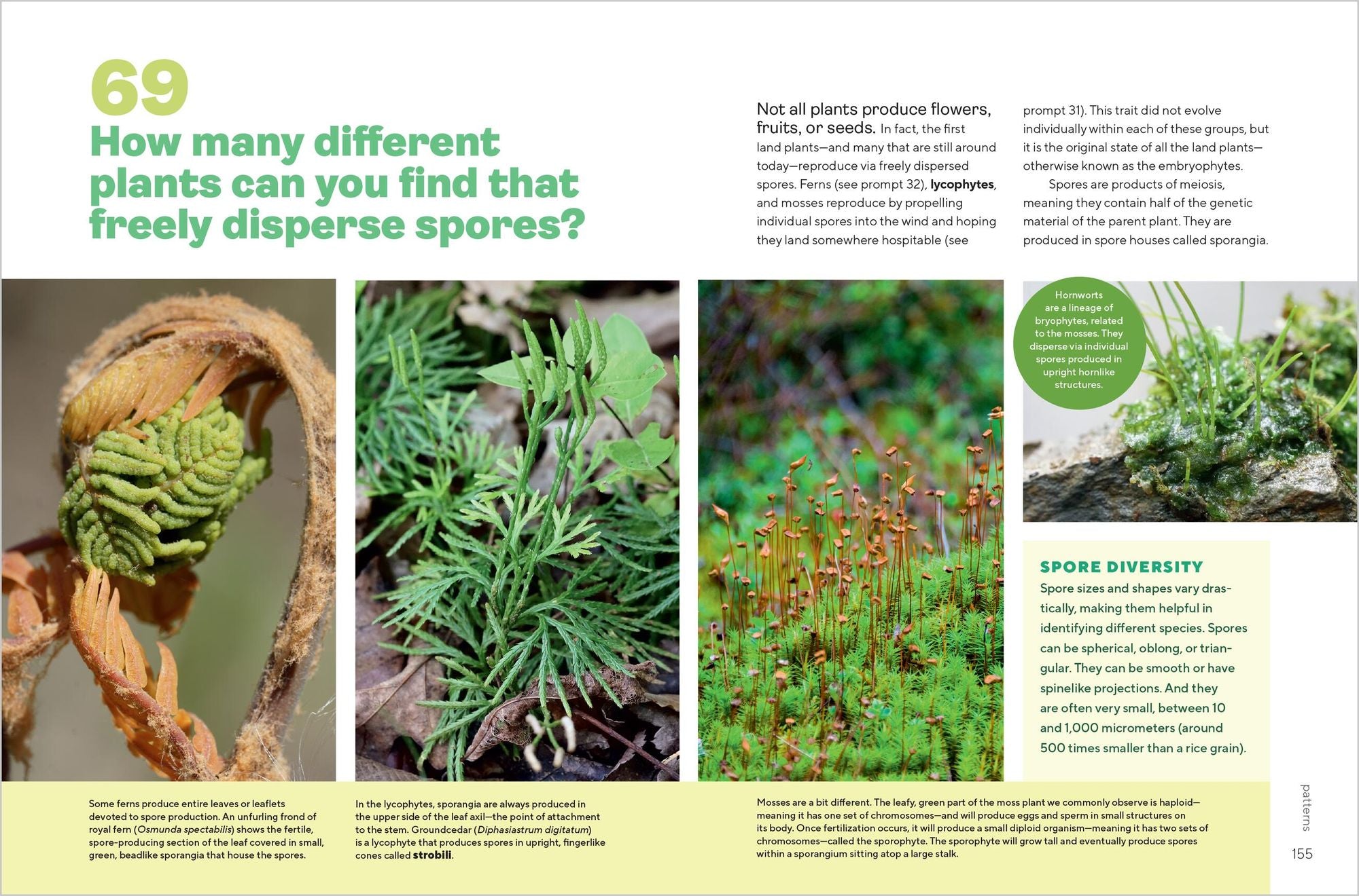 Let's Botanize: 101 Ways to Connect with Plants