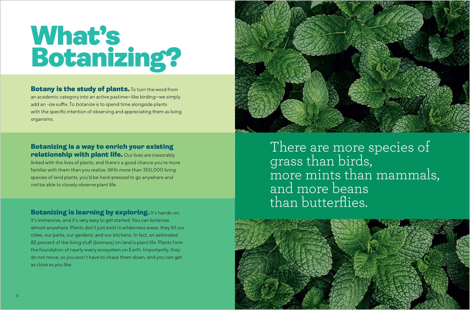 Let's Botanize: 101 Ways to Connect with Plants