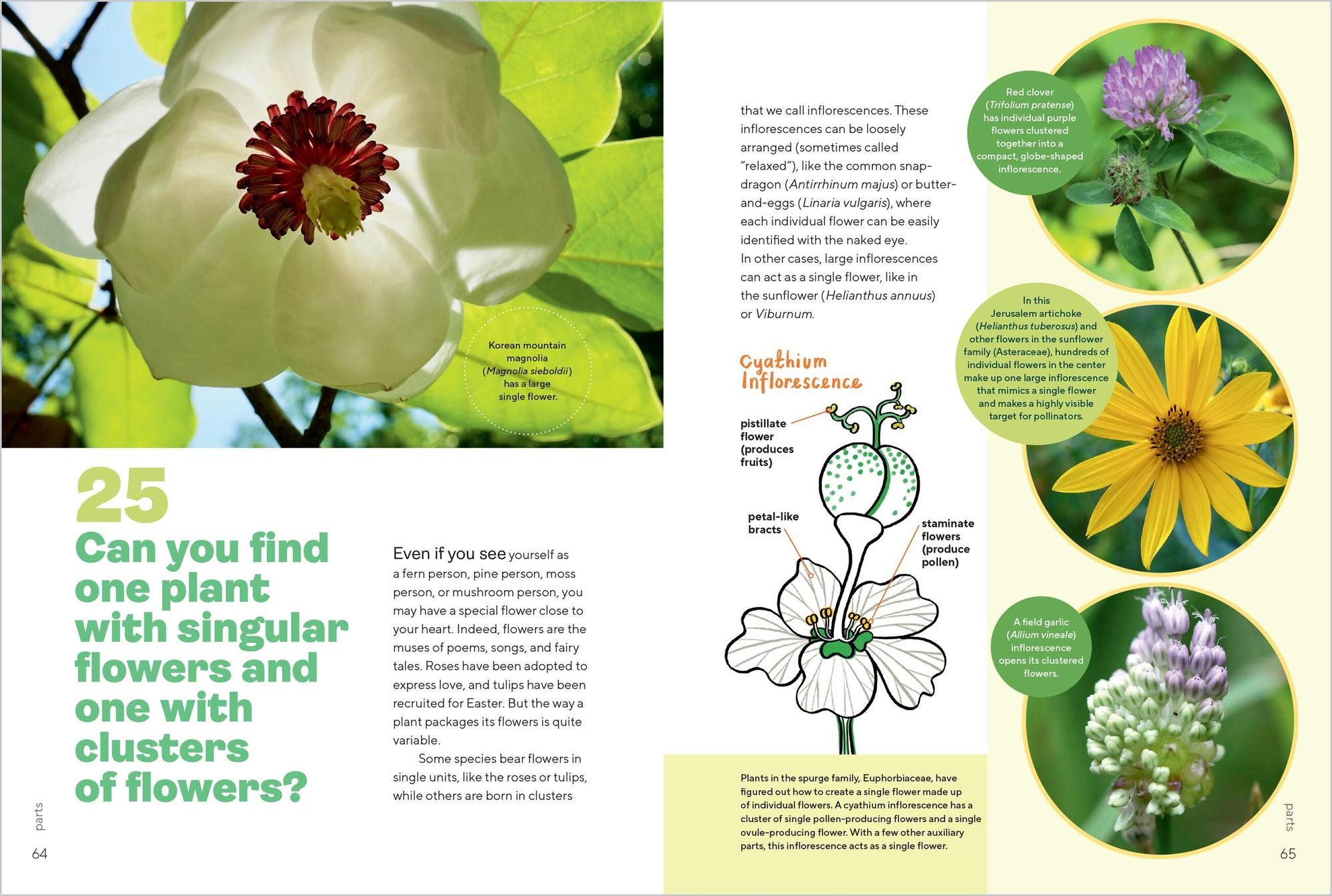 Let's Botanize: 101 Ways to Connect with Plants