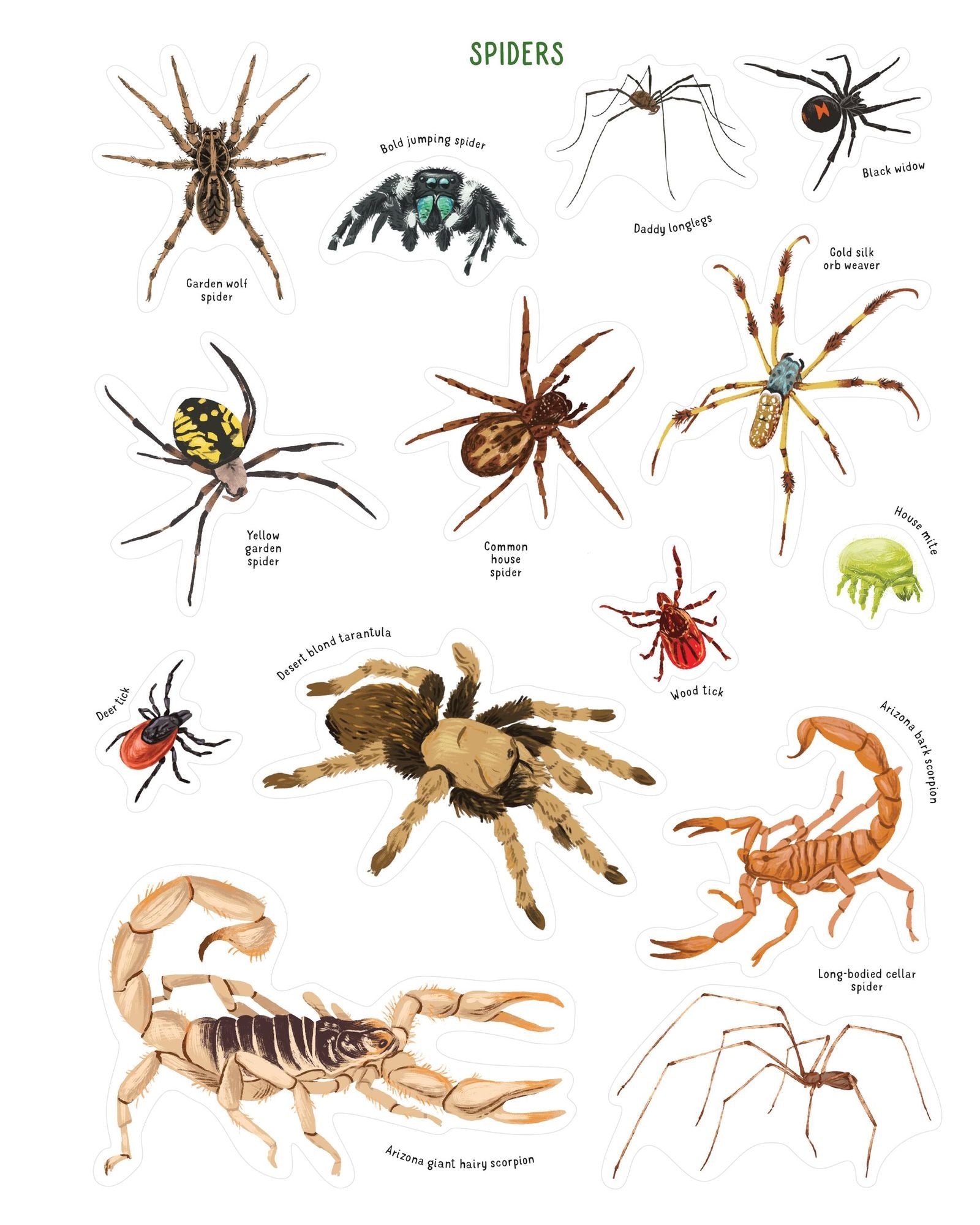 Backpack Explorer Stickers: Bug Adventure: 250 Stickers plus Play & Learn Activities