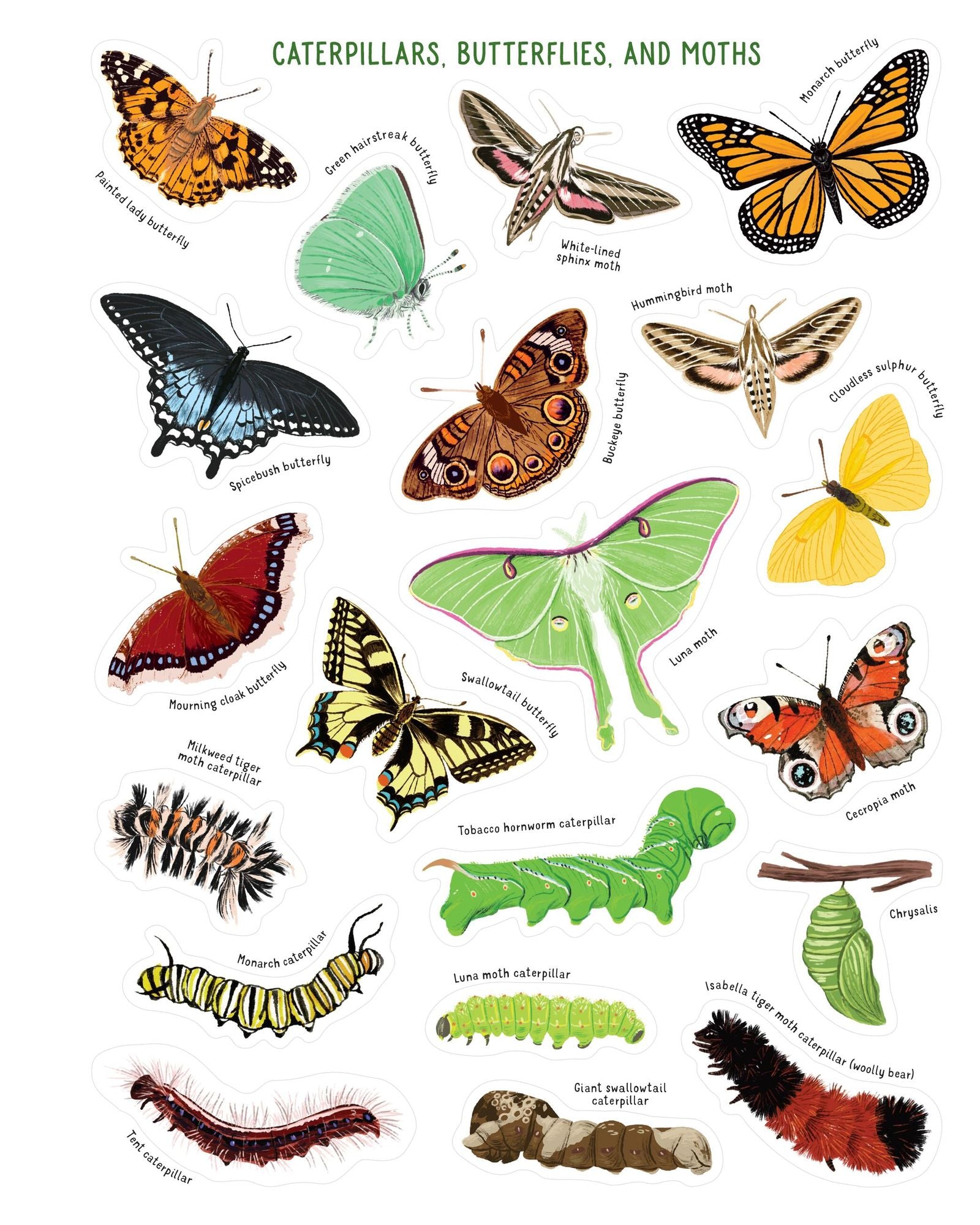 Backpack Explorer Stickers: Bug Adventure: 250 Stickers plus Play & Learn Activities