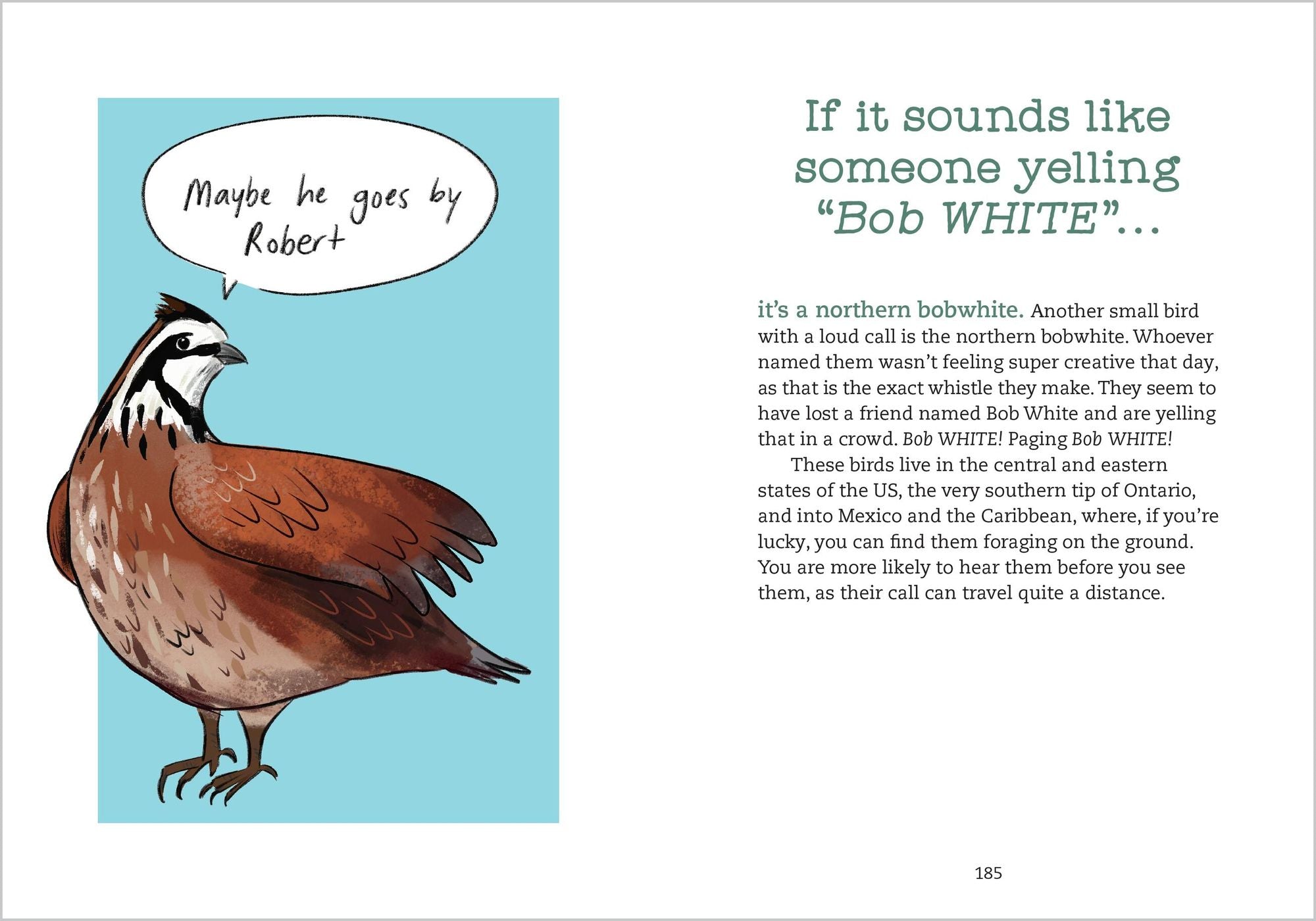 Bird Talk: Hilariously Accurate Ways to Identify Birds by the Sounds They Make