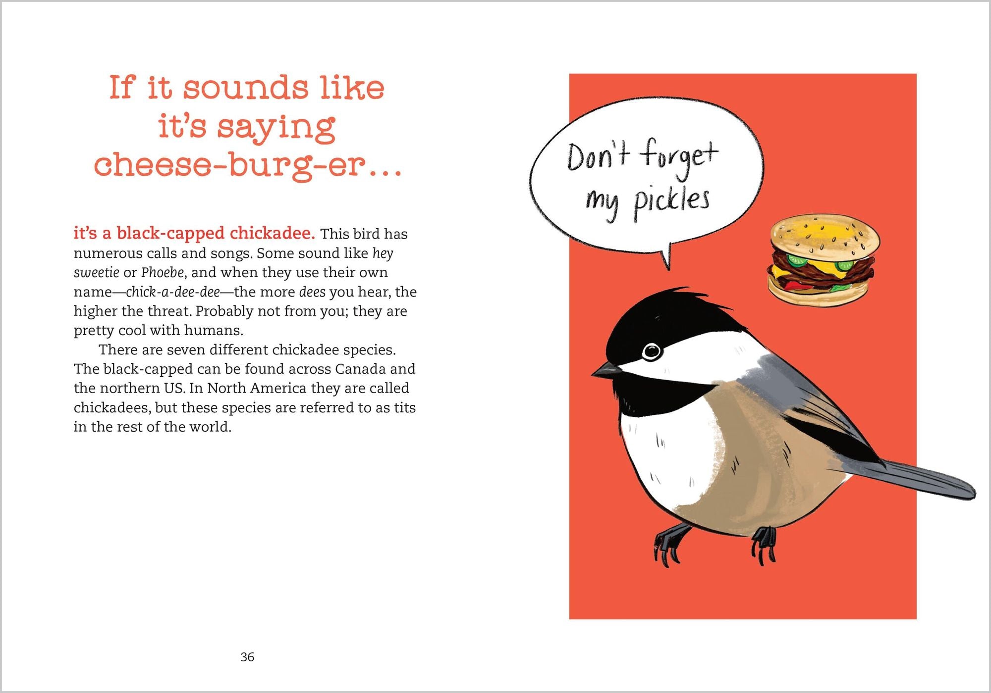 Bird Talk: Hilariously Accurate Ways to Identify Birds by the Sounds They Make