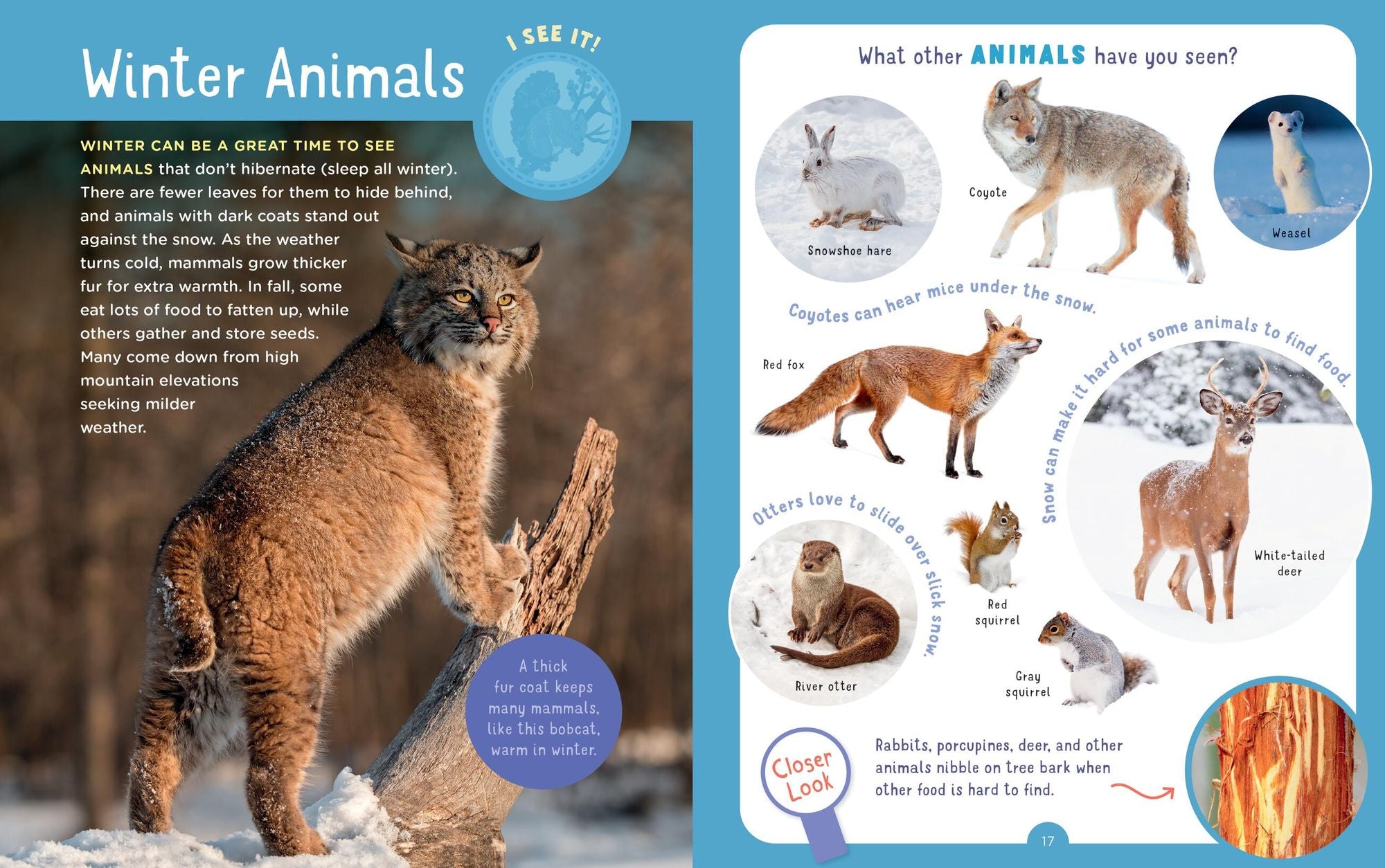Backpack Explorer: Winter Walk: What Will You Find?